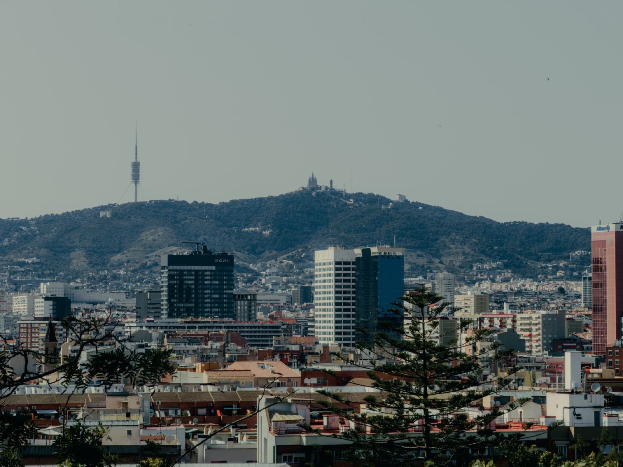 Scenic view of Barcelona skyline featuring Tibidabo Mountain and Collserola Tower.