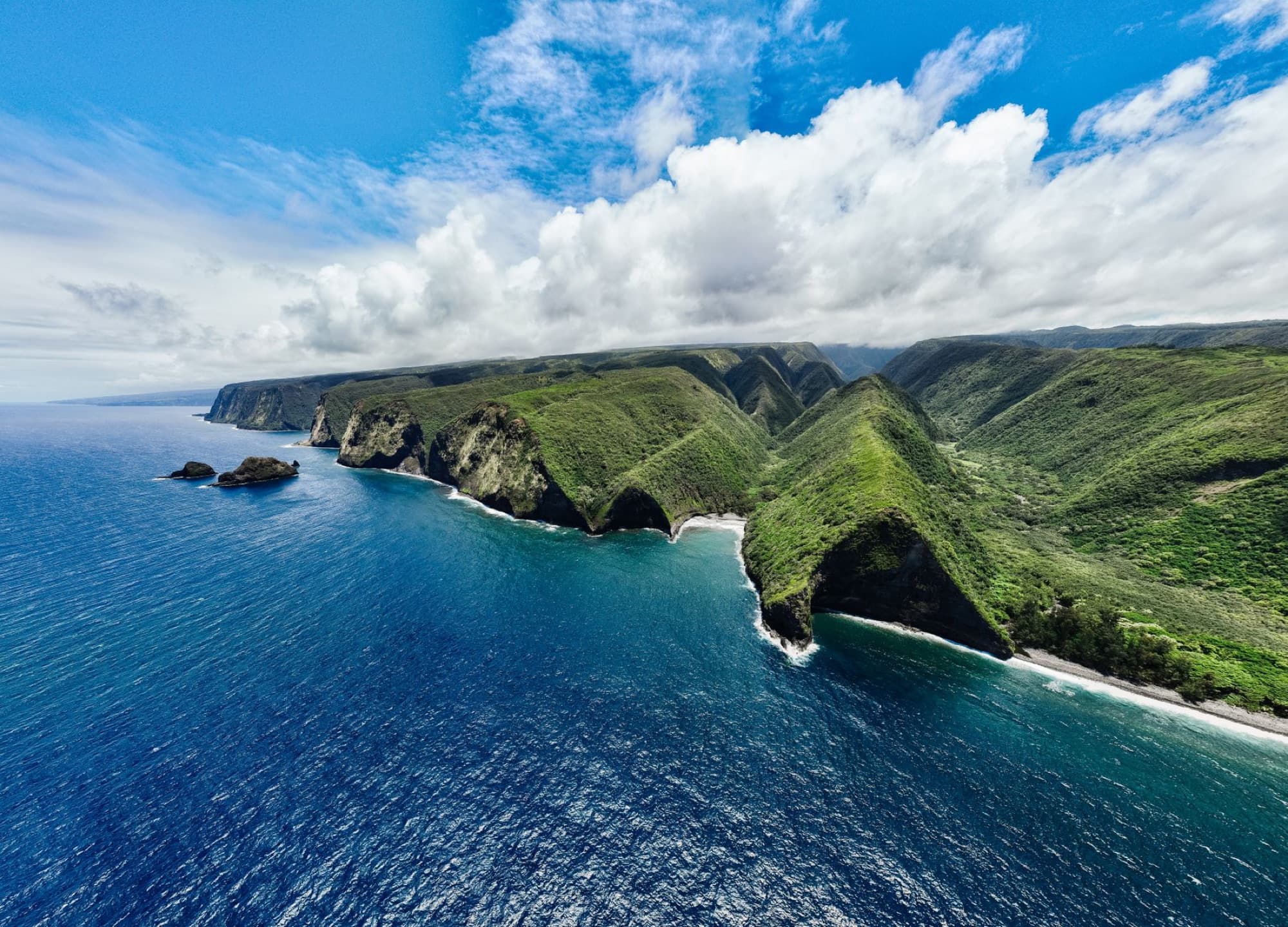 Breathtaking drone shot of Hawaii's Hamakua coast with lush green cliffs and deep blue ocean.