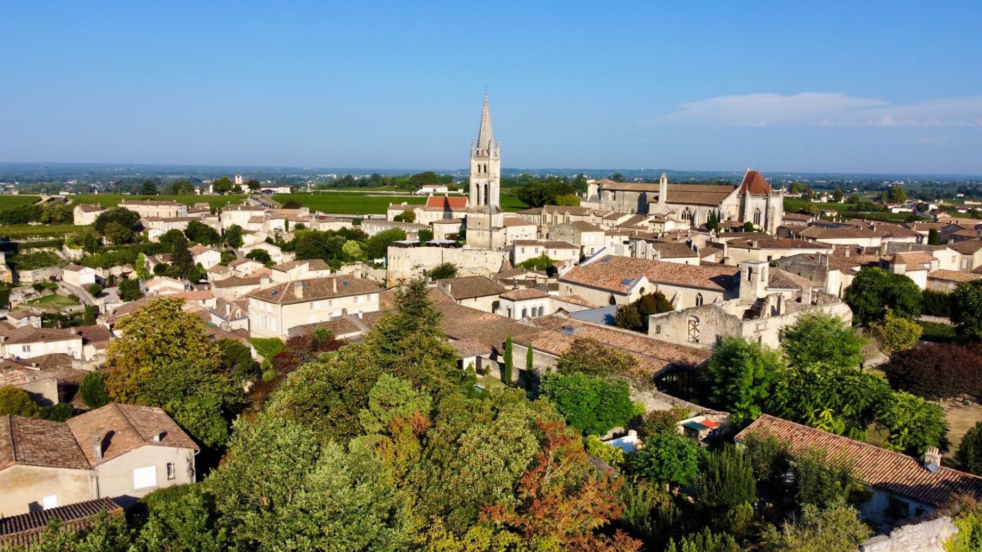 Picturesque aerial view of Saint Émilion, France showcasing Gothic architecture and vineyards.