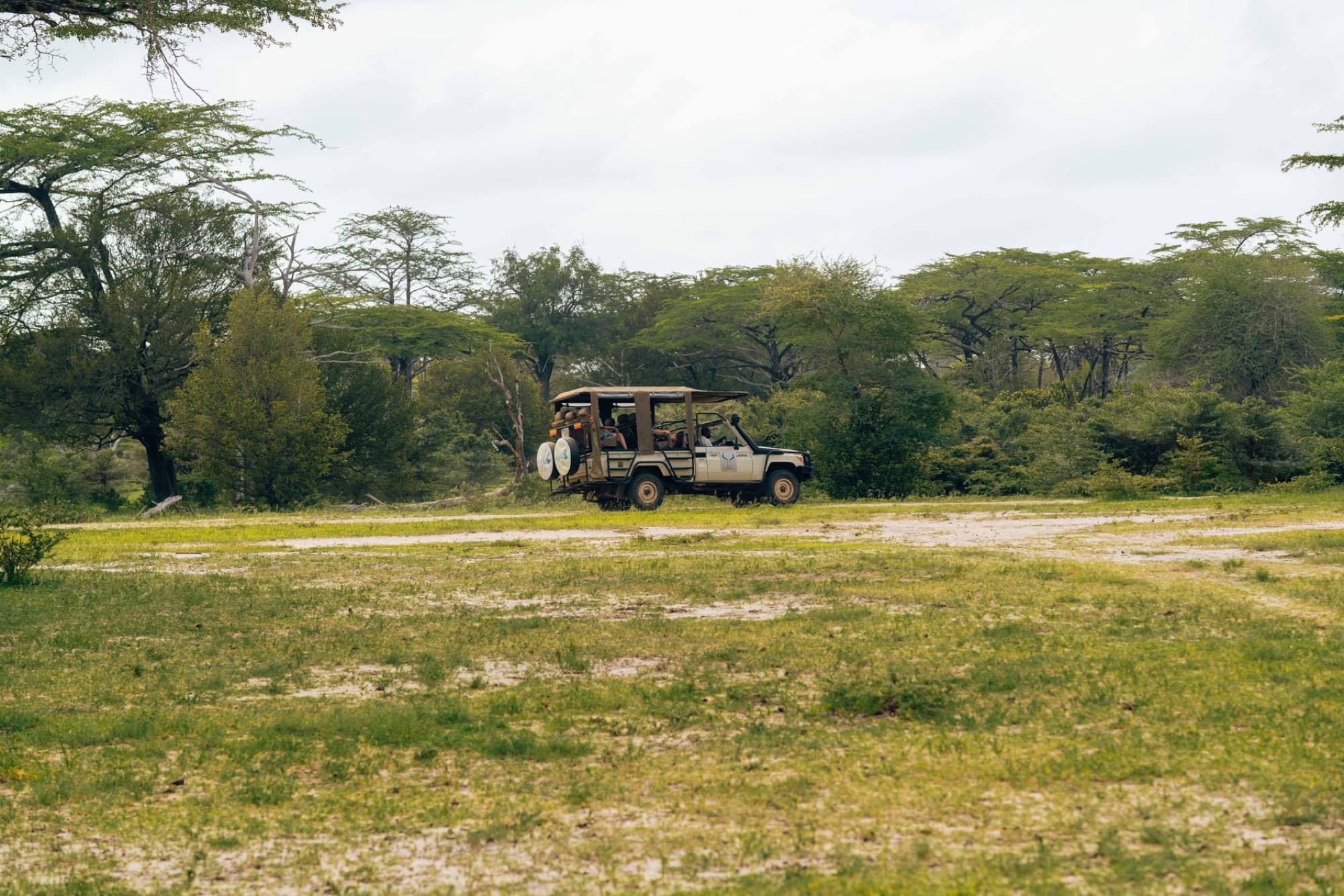 Safari vehicle exploring a lush, open landscape with acacia trees in the background.