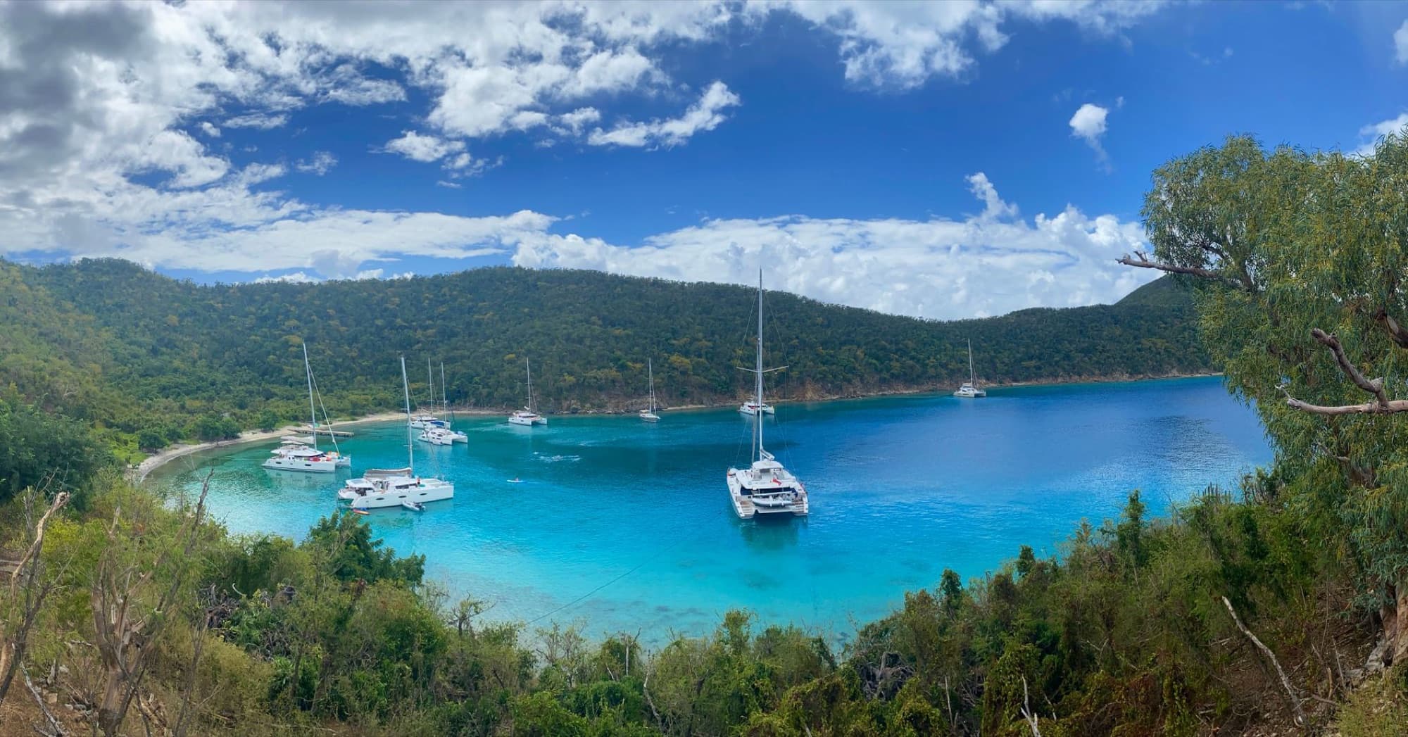 A panoramic view of a bay with yachts docked, surrounded by lush greenery in the British Virgin Islands.