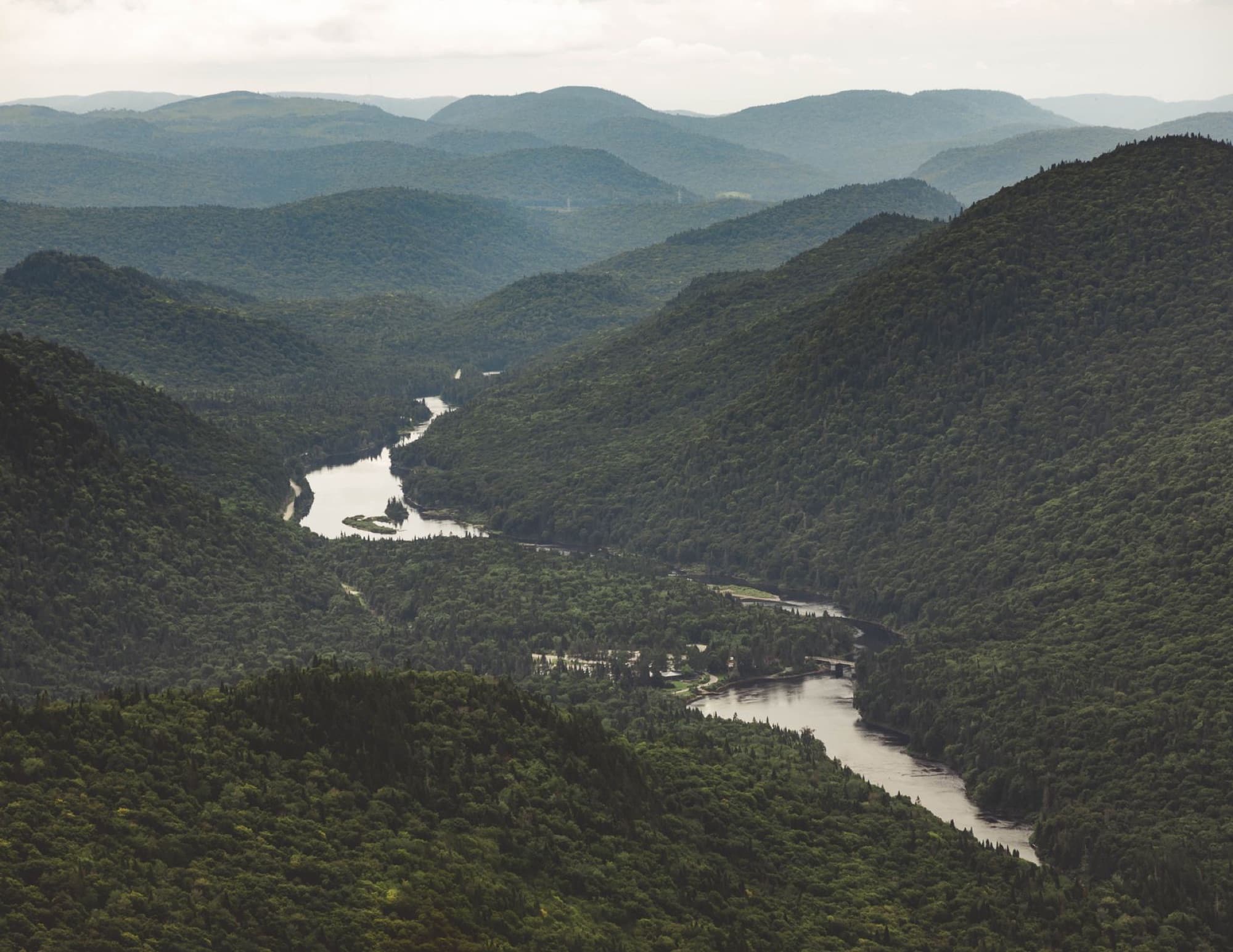 Captivating aerial view of lush forests and winding river in Quebec's rolling hills.