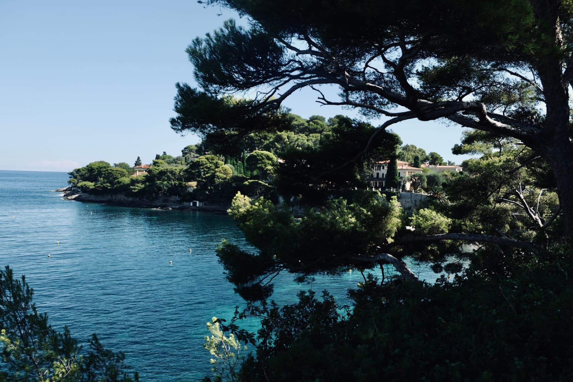 Explore the picturesque coastline and lush greenery of Cannes, France, captured on a bright summer day.