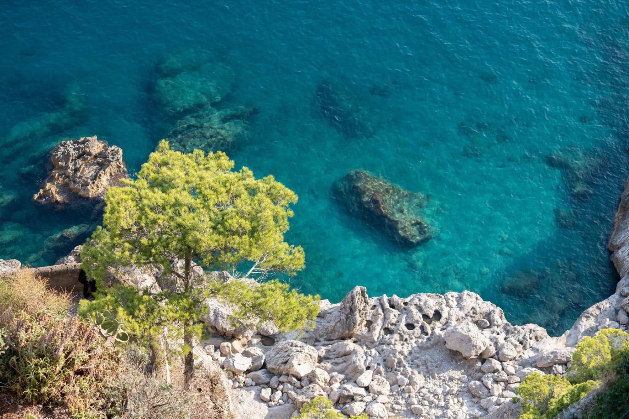 Stunning aerial view of Capri's rocky coastline with crystal clear blue waters and lush greenery.