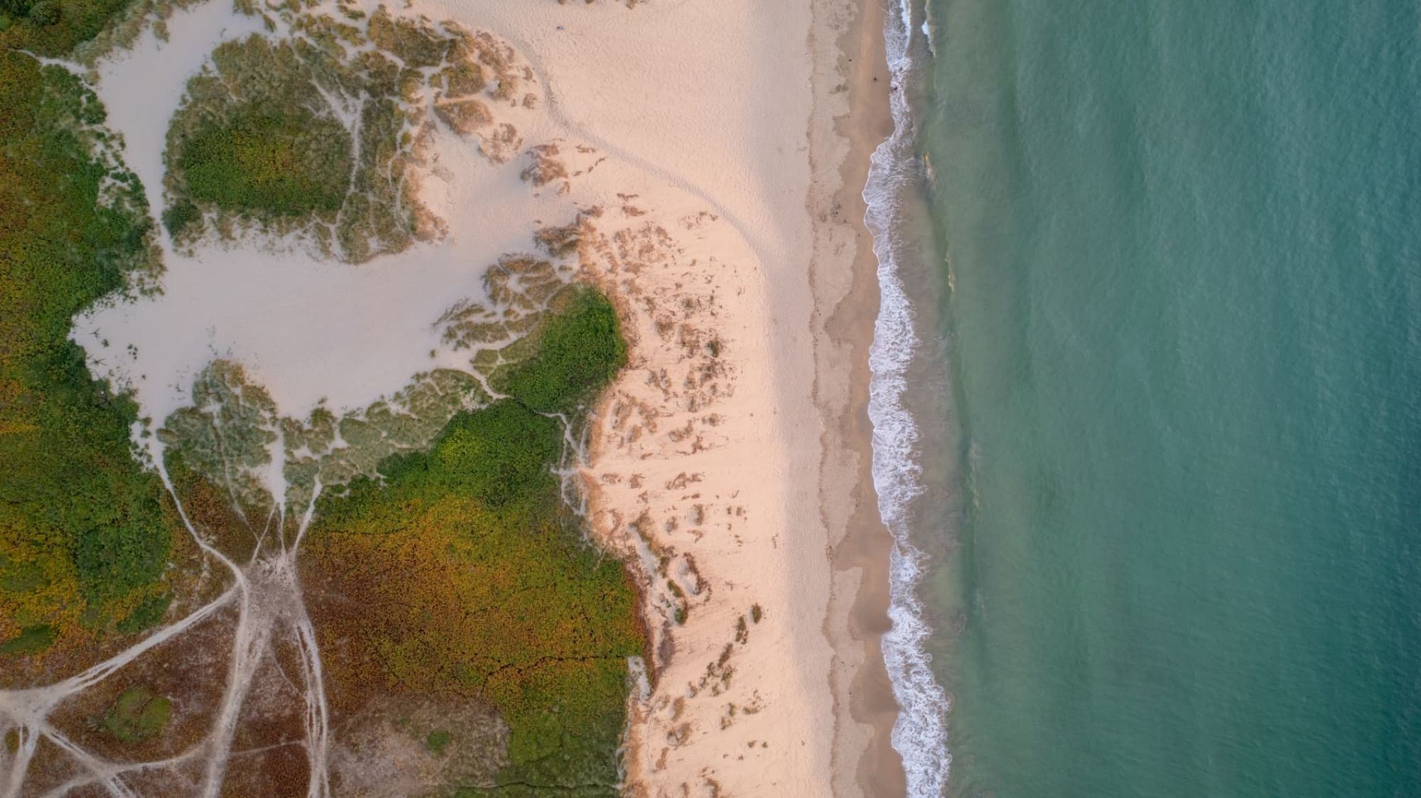 A stunning aerial view of a sandy beach and lush greenery in Cornwall, England.