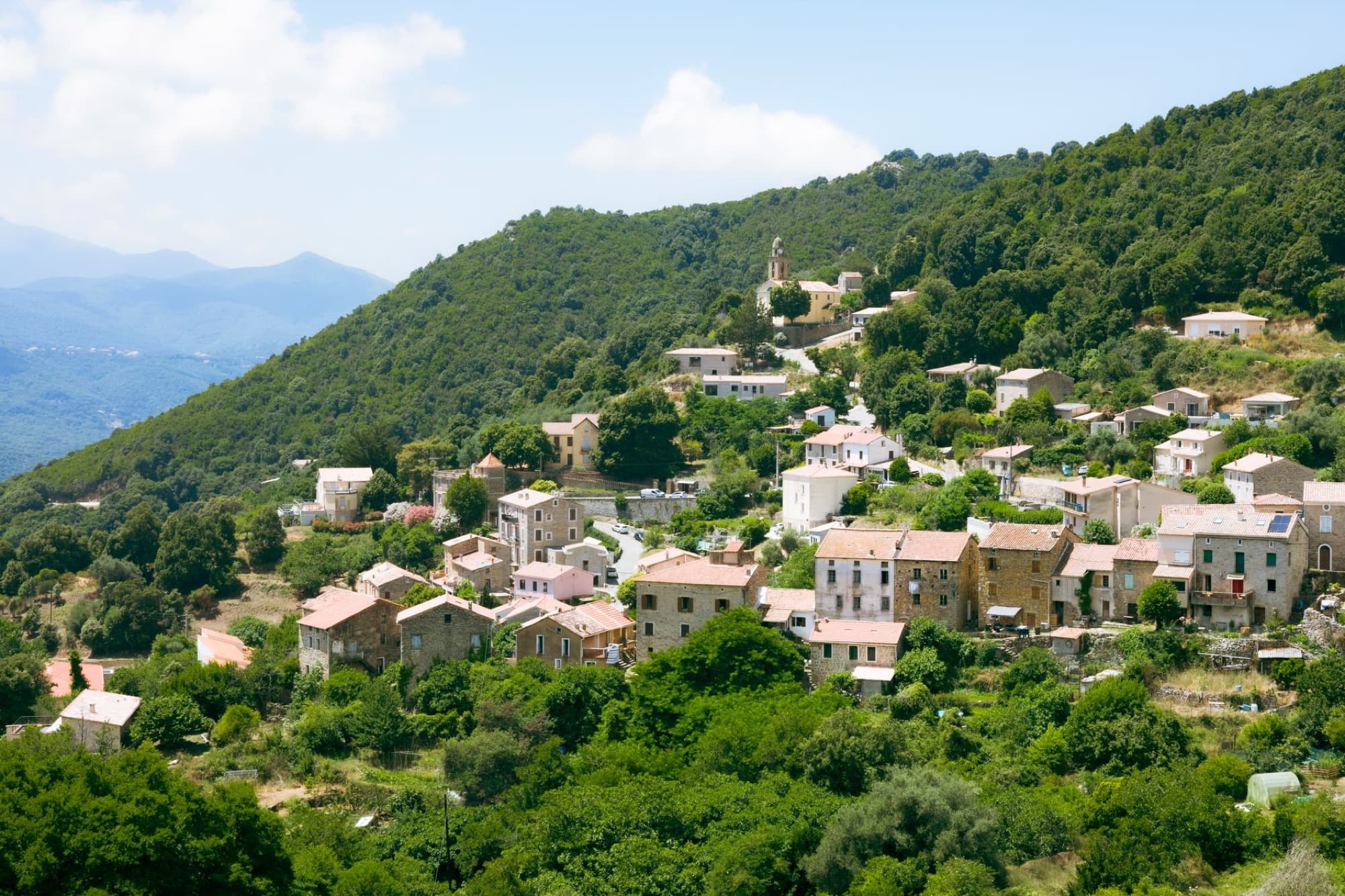 Charming hillside view of Ajaccio village surrounded by lush greenery on a sunny day.