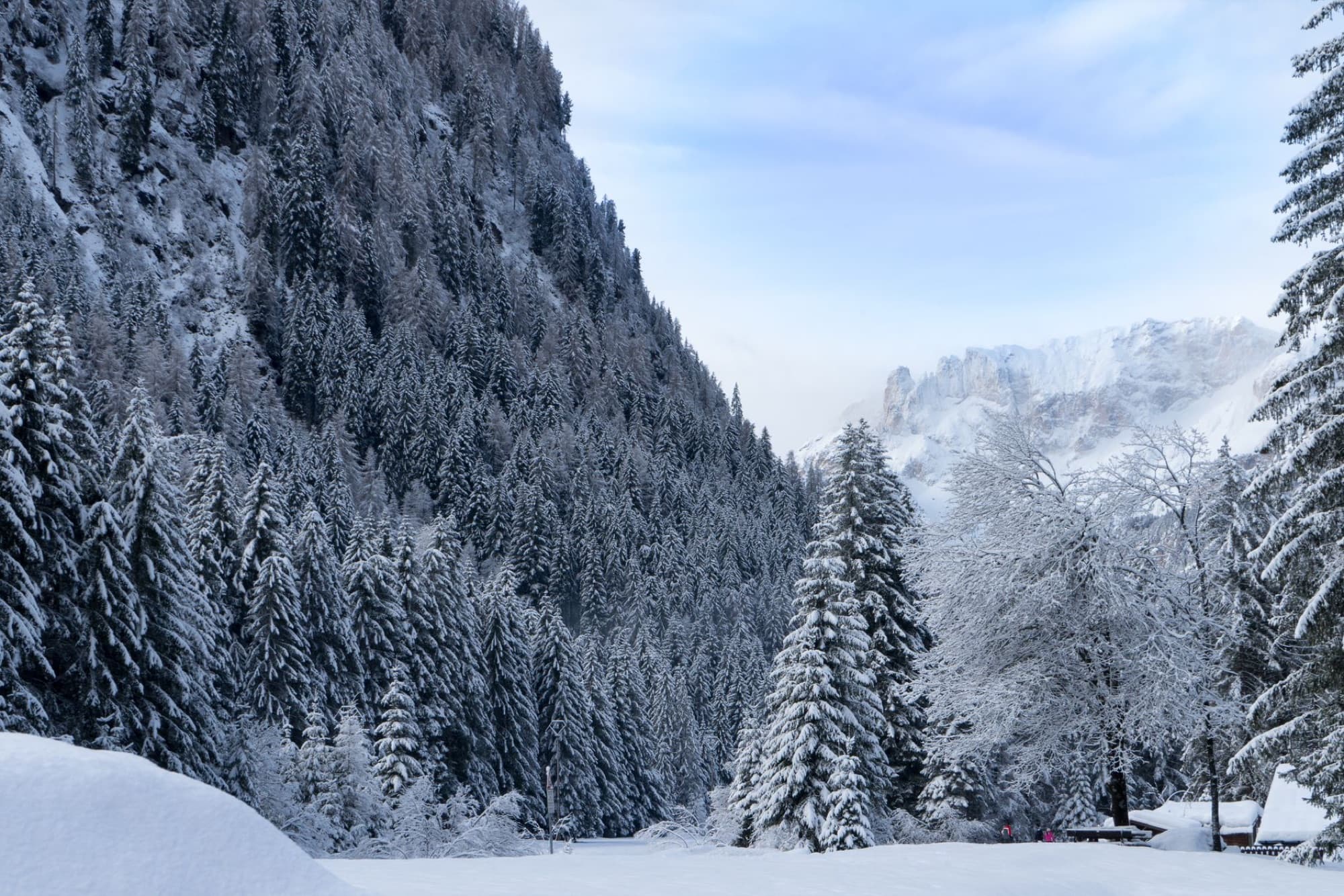 Serene winter landscape of Canazei in the Italian Dolomites, featuring snow-covered trees and mountains.