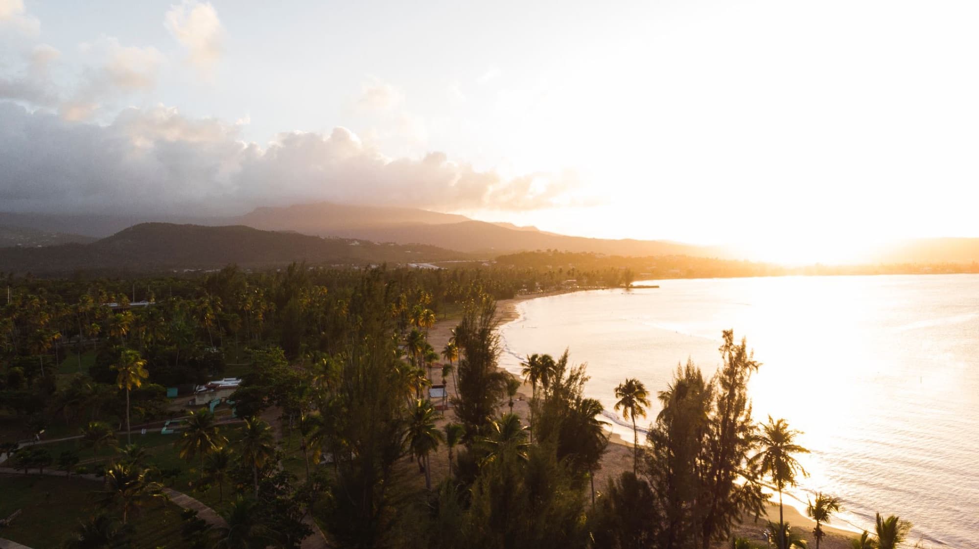Stunning aerial view of the Puerto Rican coastline at sunrise, highlighting palm trees and the sea.