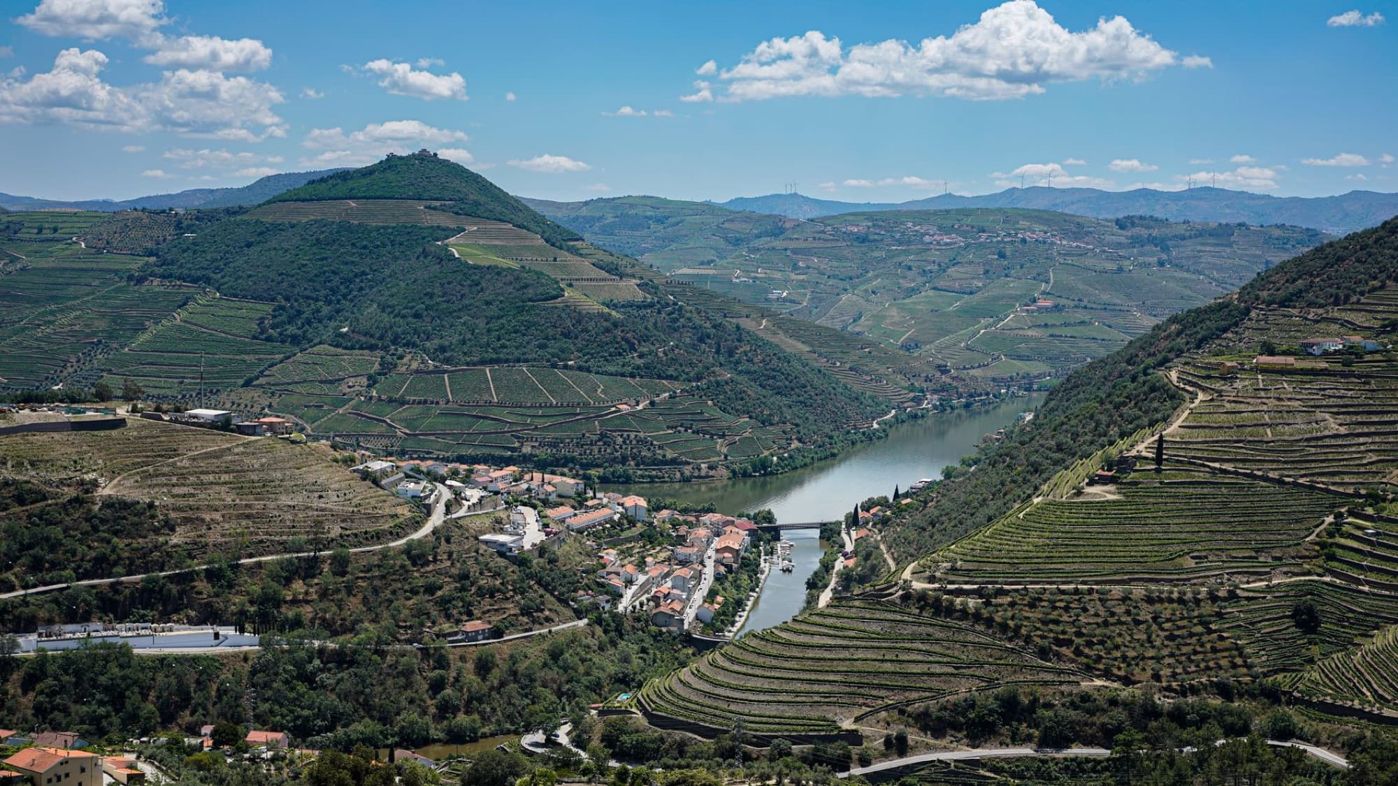 Scenic aerial view of Douro Valley vineyards and river, Portugal's wine region.
