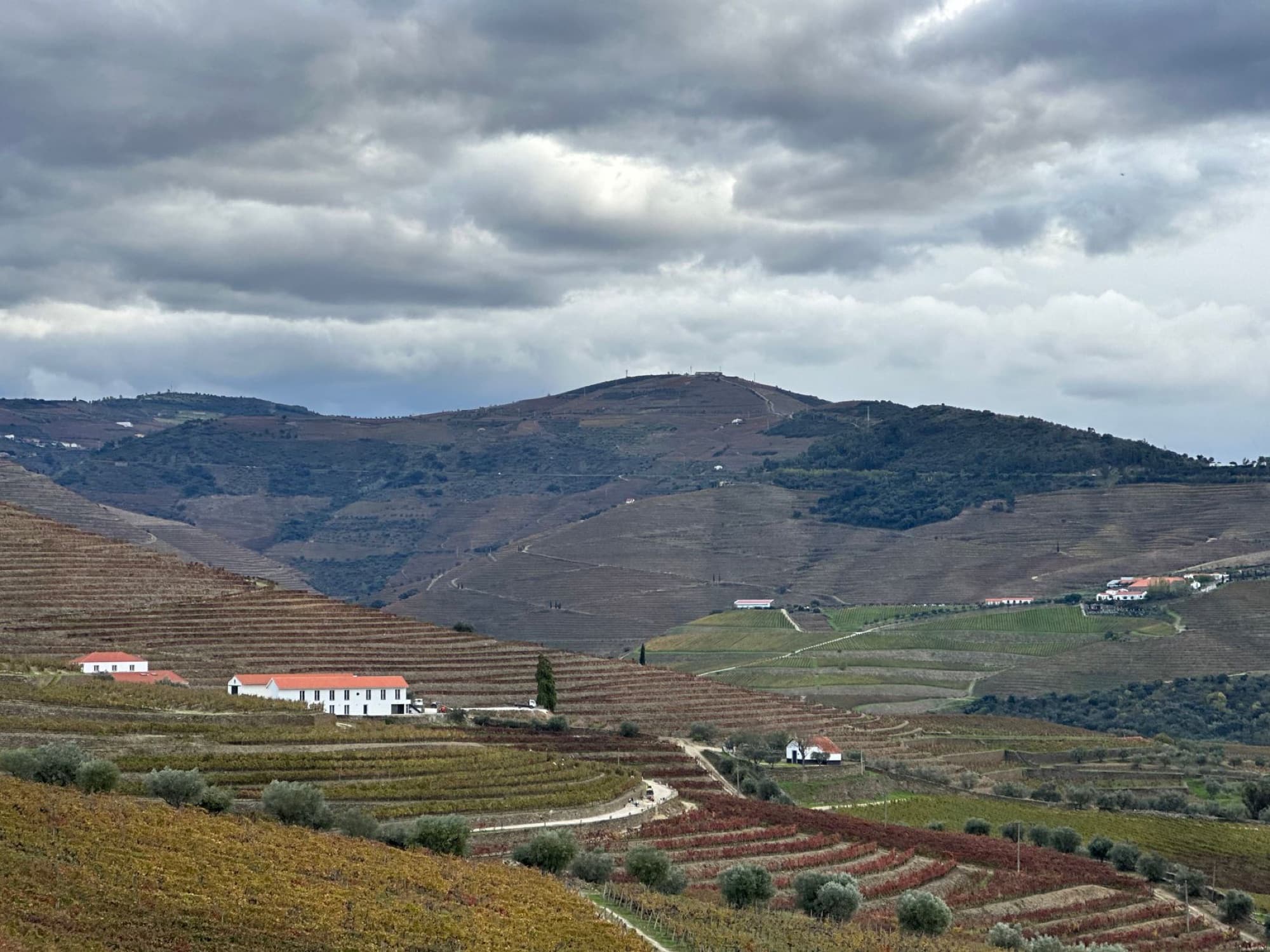 Expansive view of terraced vineyards in Douro Valley, Portugal under cloudy skies.