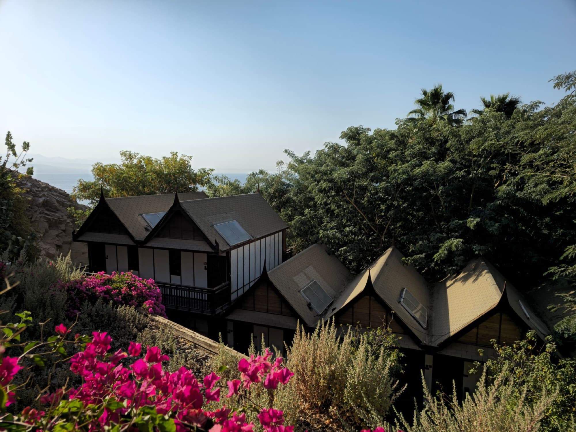 Scenic view of a quaint house amidst vibrant flora in Eilat, Israel.