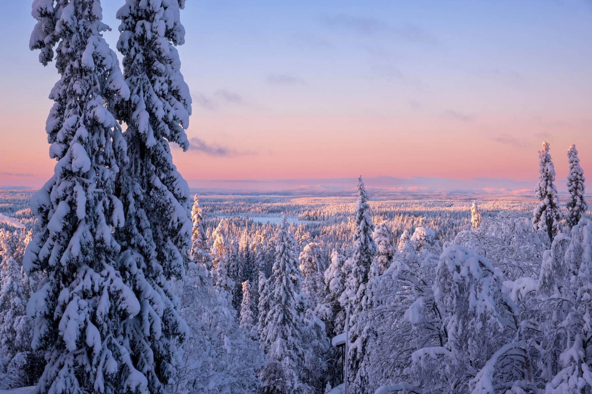 Stunning winter landscape of snowy forest at sunset in Ruka, Pohjois-Pohjanmaa, Finland.