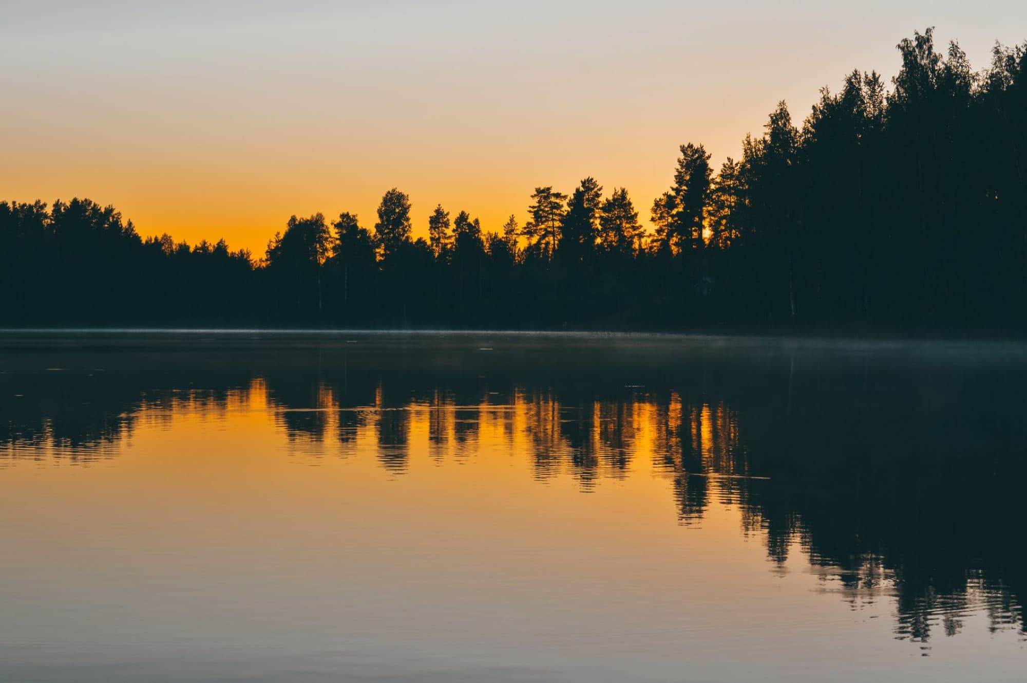 Peaceful early morning sunrise over a tranquil lake in Jyväskylä, Finland, with tree silhouettes reflecting in the water.