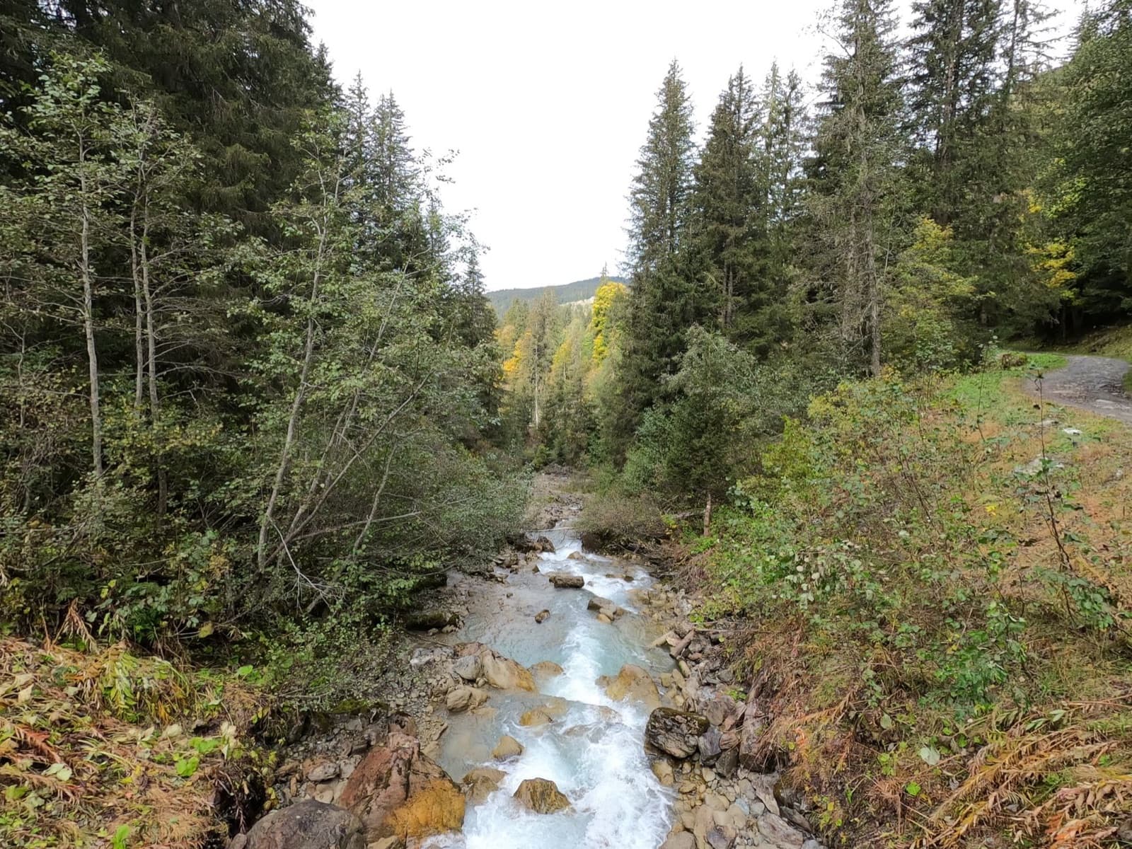 A tranquil mountain stream flows through lush greenery in Combloux, France.