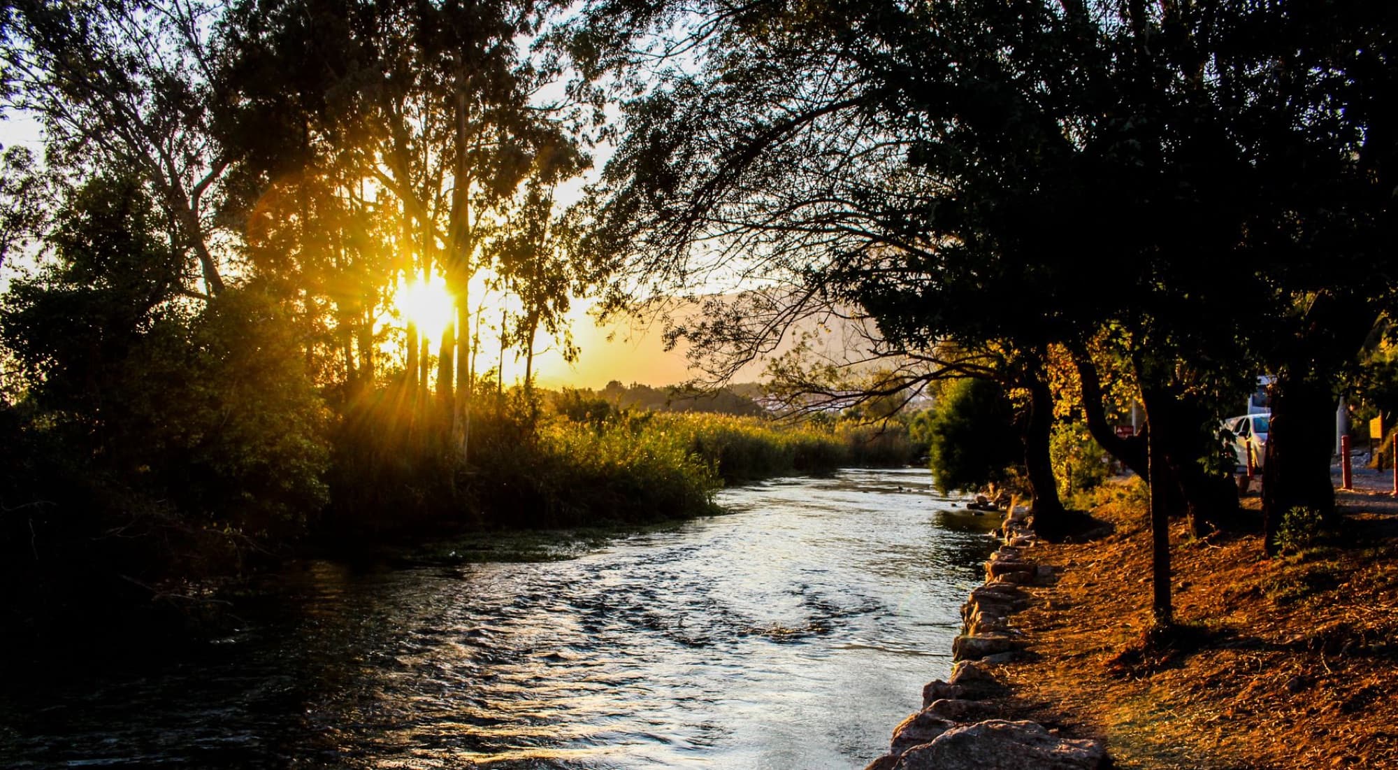 Peaceful river landscape with sunlight streaming through trees at sunrise, offering a natural escape.