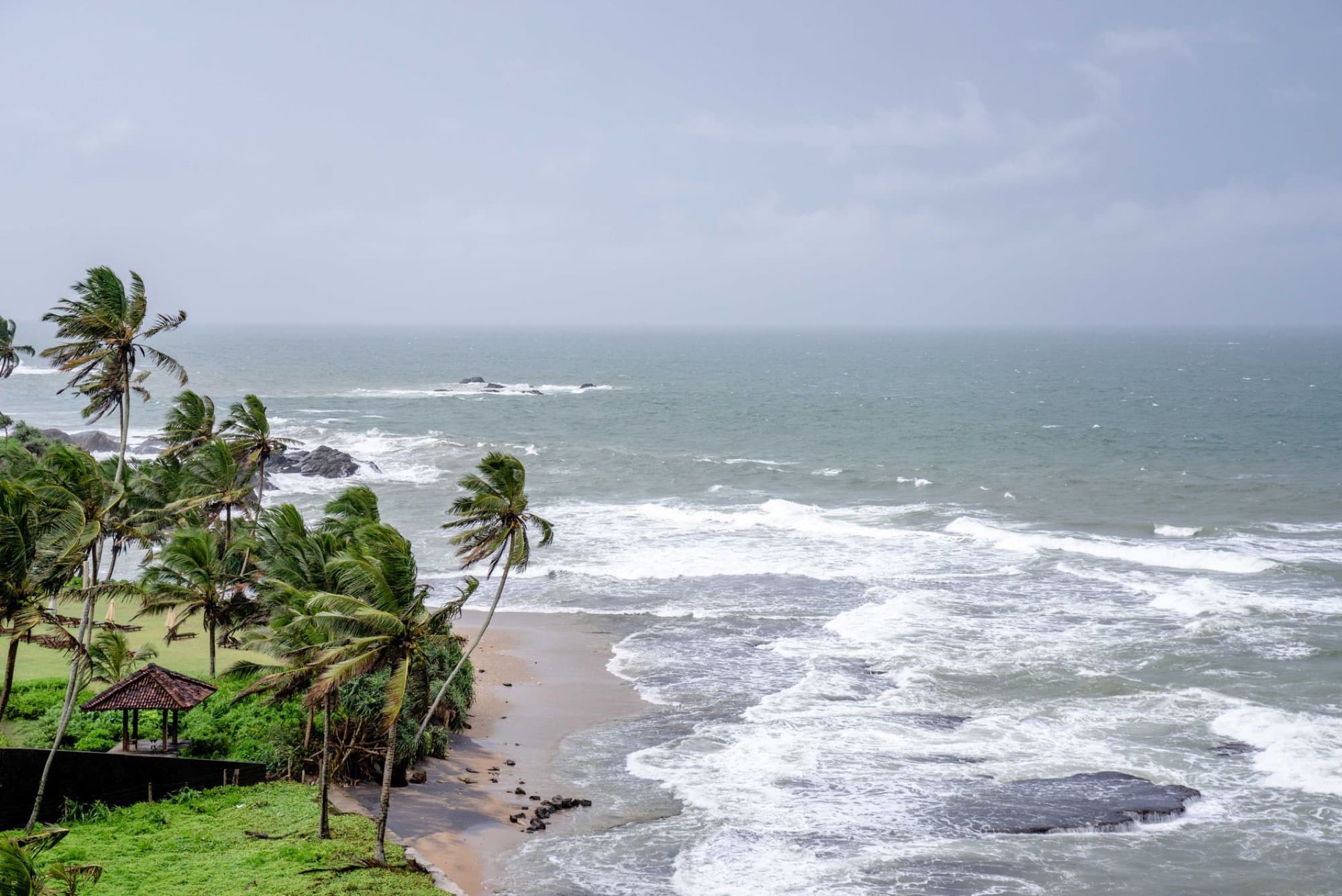 A serene aerial shot of Galle's coastline with palm trees and waves crashing on the shore.