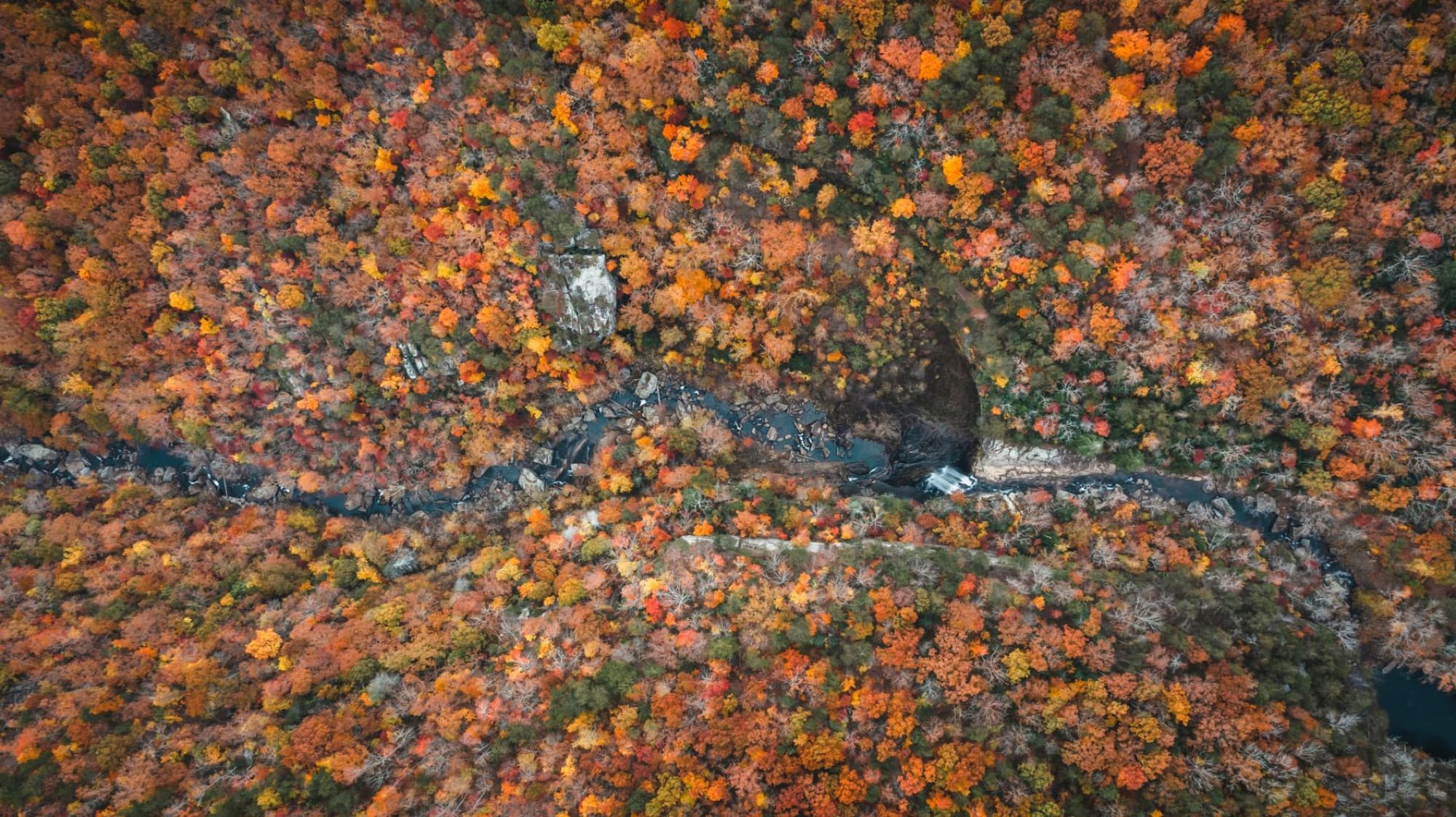 A vibrant aerial shot capturing the colorful autumn foliage and river in Chattanooga Valley, Georgia.