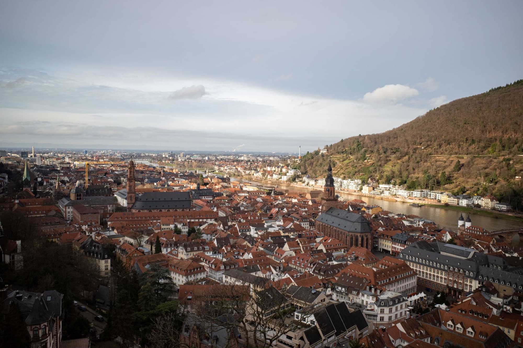 Stunning aerial view of Heidelberg, Germany showcasing classic architecture and the Neckar River.