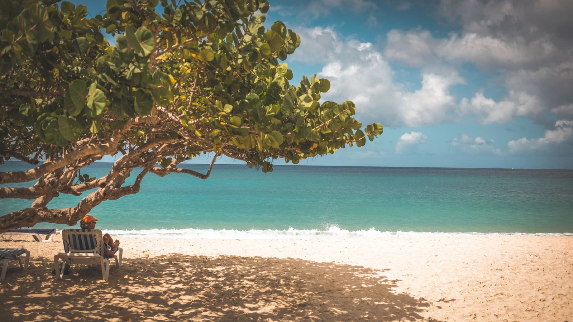 Relaxing at a serene tropical beach in Grenada under the shade of a tree with a stunning ocean view.