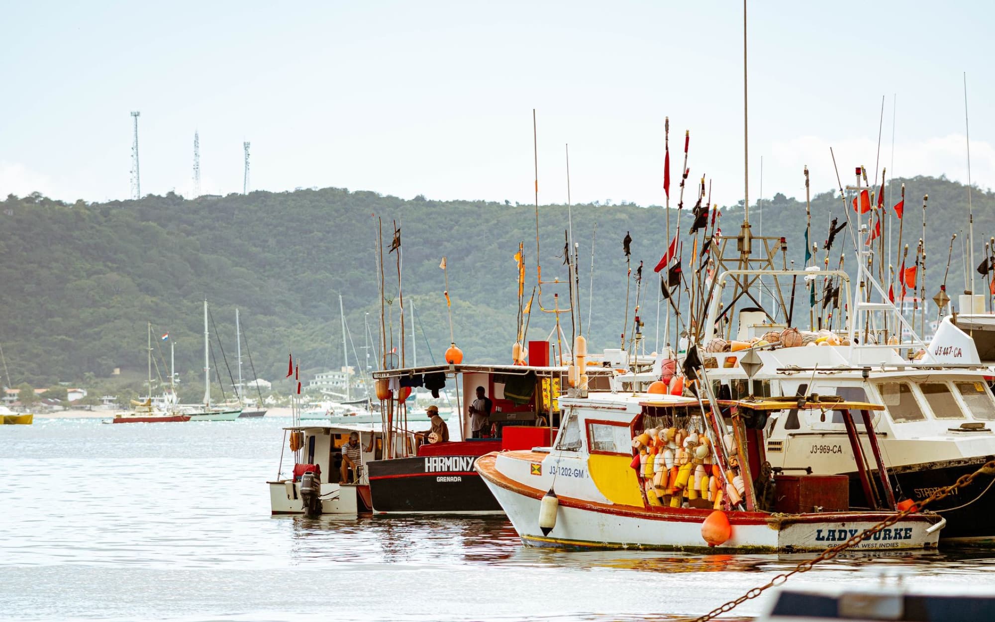 Colorful fishing boats docked in Saint George's, Grenada with lush green hills in the background.
