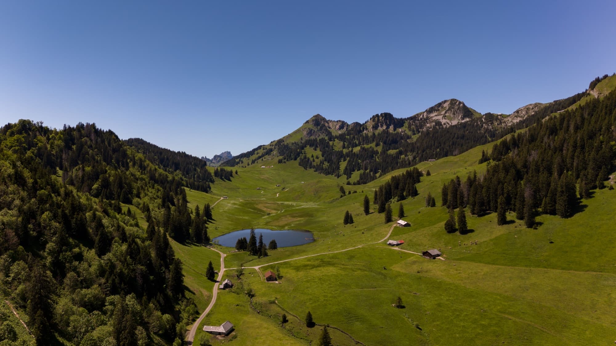 Stunning aerial photo of Swiss mountains, lake, and meadows in summer.
