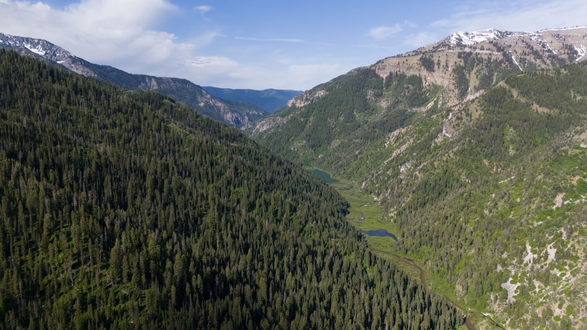 Stunning aerial landscape of lush green valley and mountains in Irwin, Idaho.