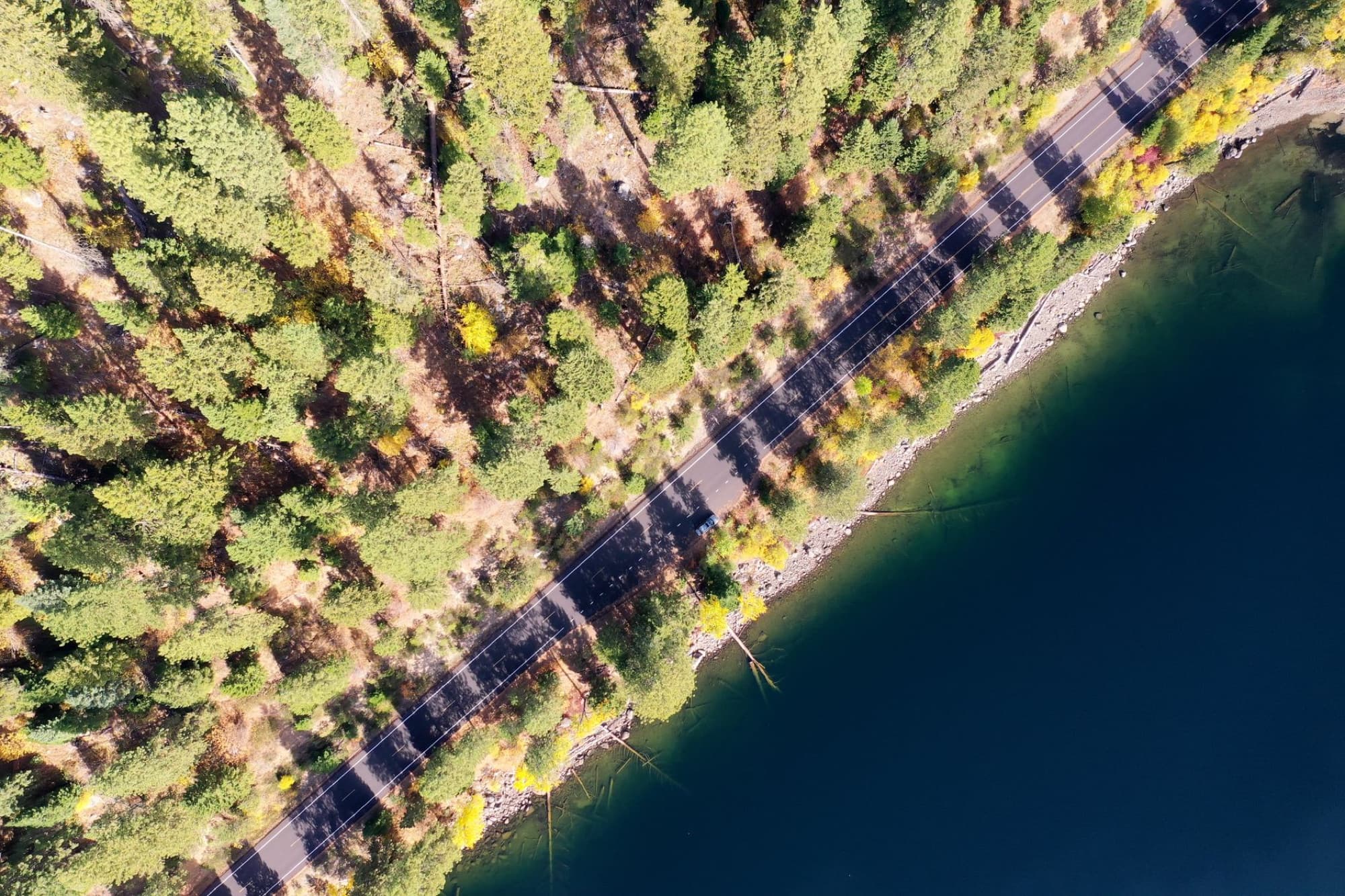Aerial shot of a scenic forest road by a clear blue lake in McCall, Idaho.