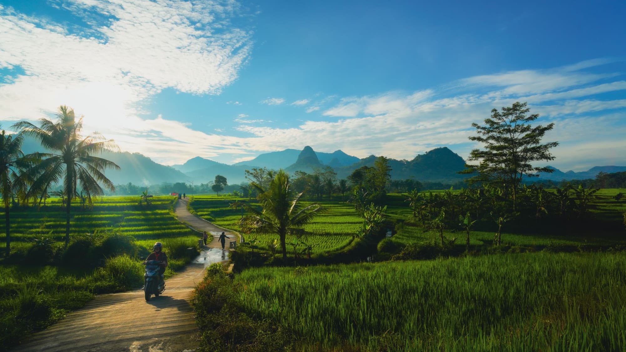 Breathtaking landscape of lush green rice fields and mountains under a vibrant blue sky in Jawa Barat, Indonesia.