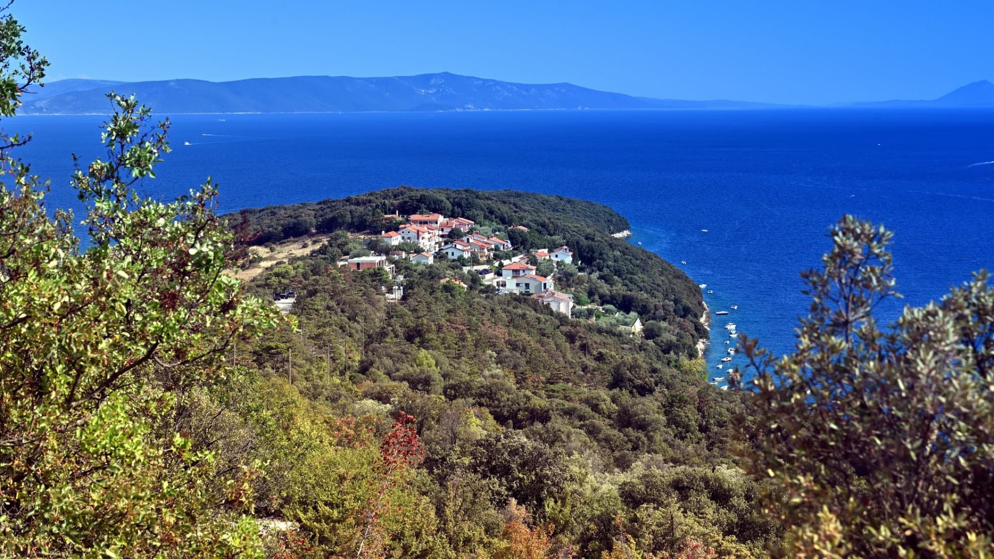 Aerial view of Duga Luka on the Istrian coast, featuring lush greenery and vibrant blue waters.