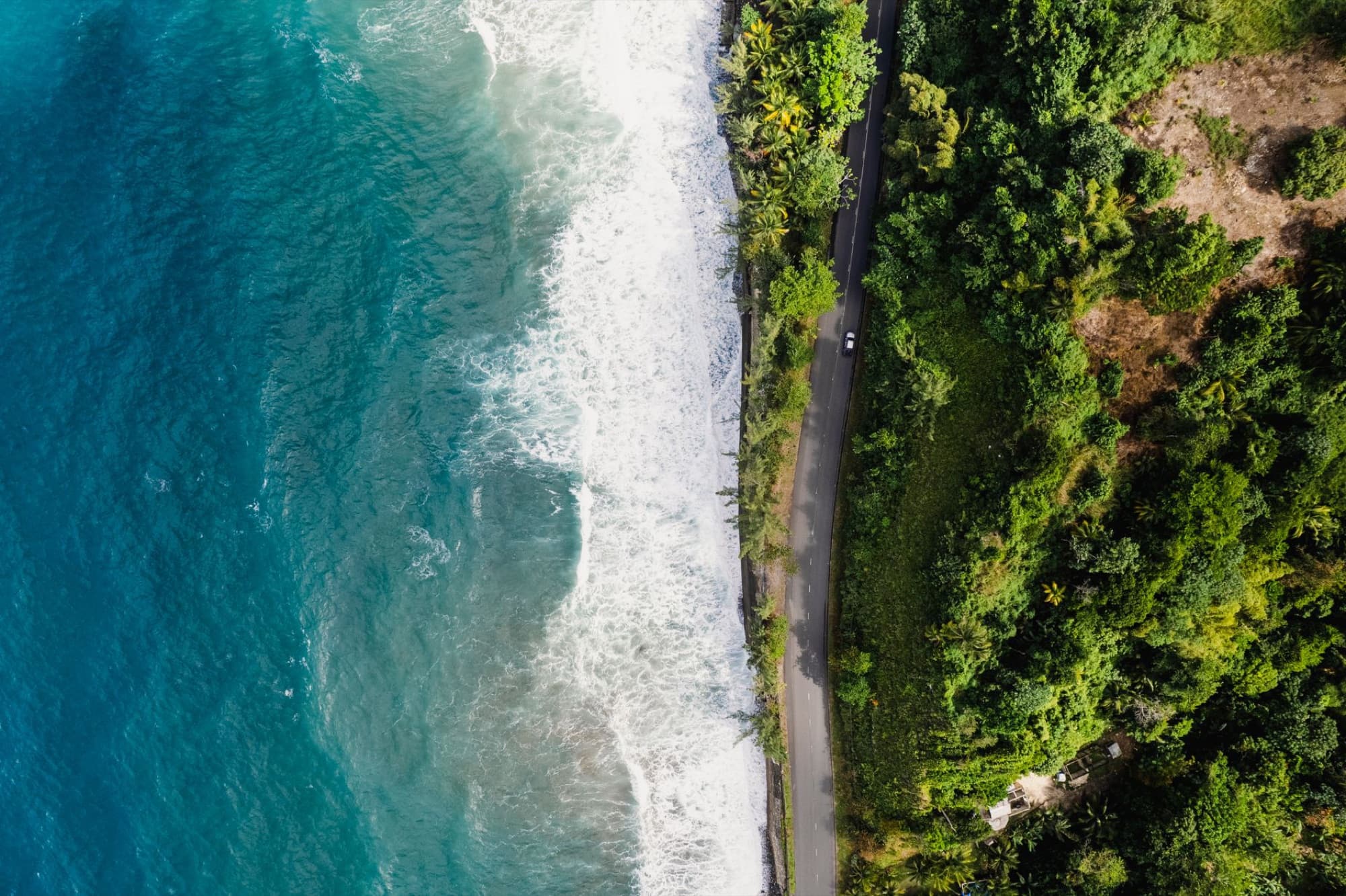 Drone shot of a scenic coastal road between lush greenery and the ocean in Buff Bay, Jamaica.
