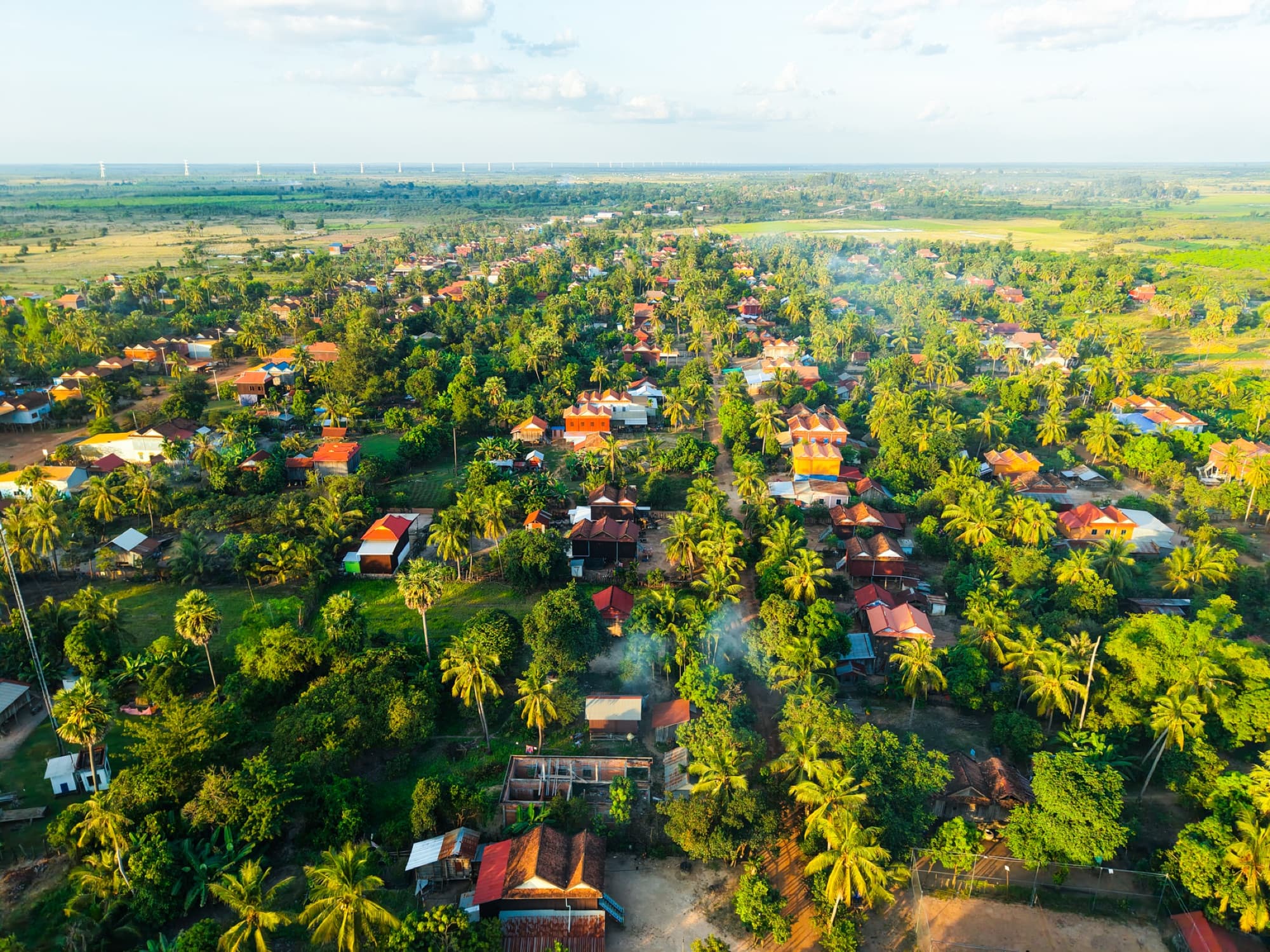Stunning aerial view of a lush Cambodian village with scattered homes and palm trees.