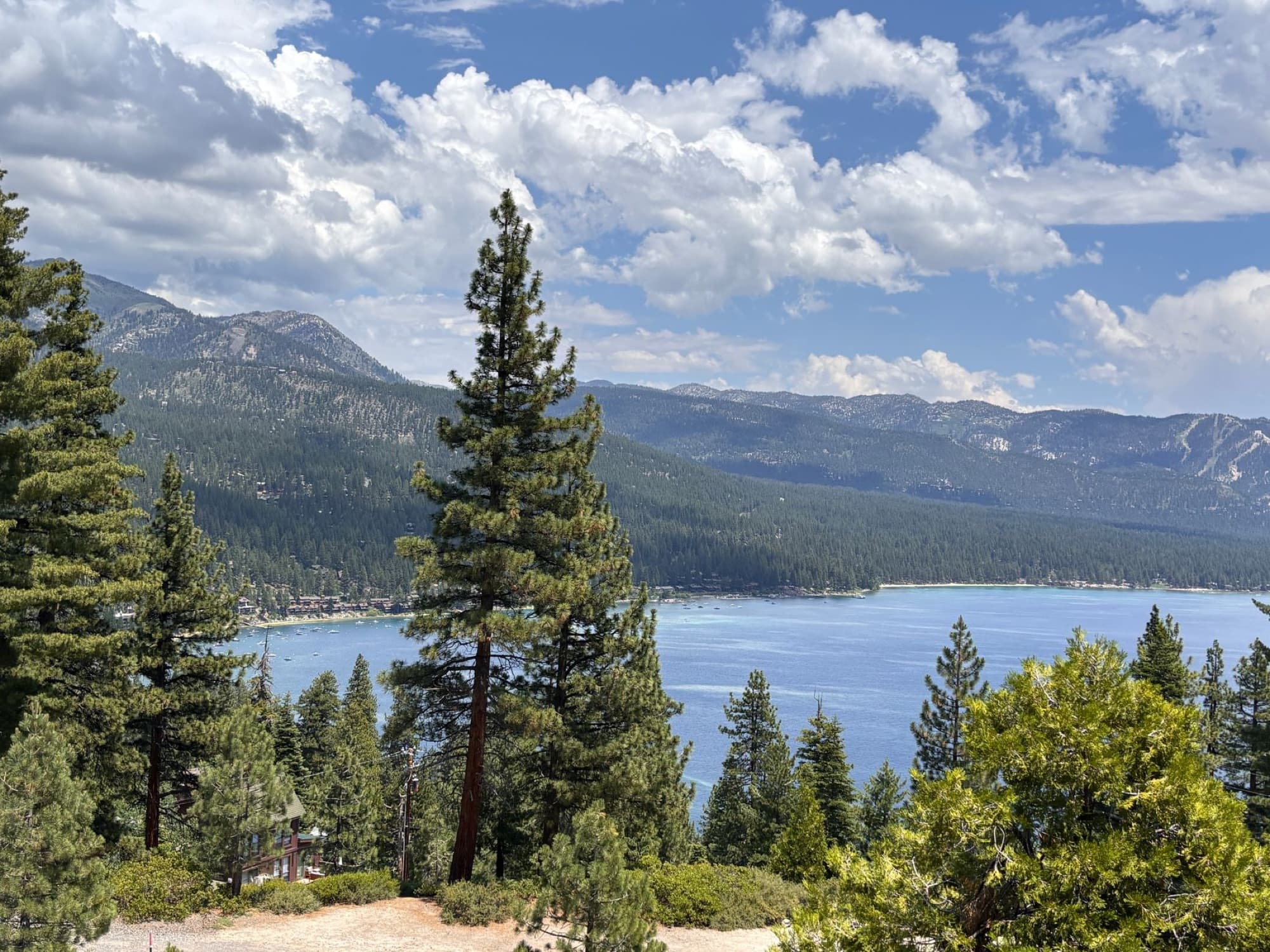 Breathtaking vista of Lake Tahoe surrounded by lush pine trees and majestic mountains under a blue sky.