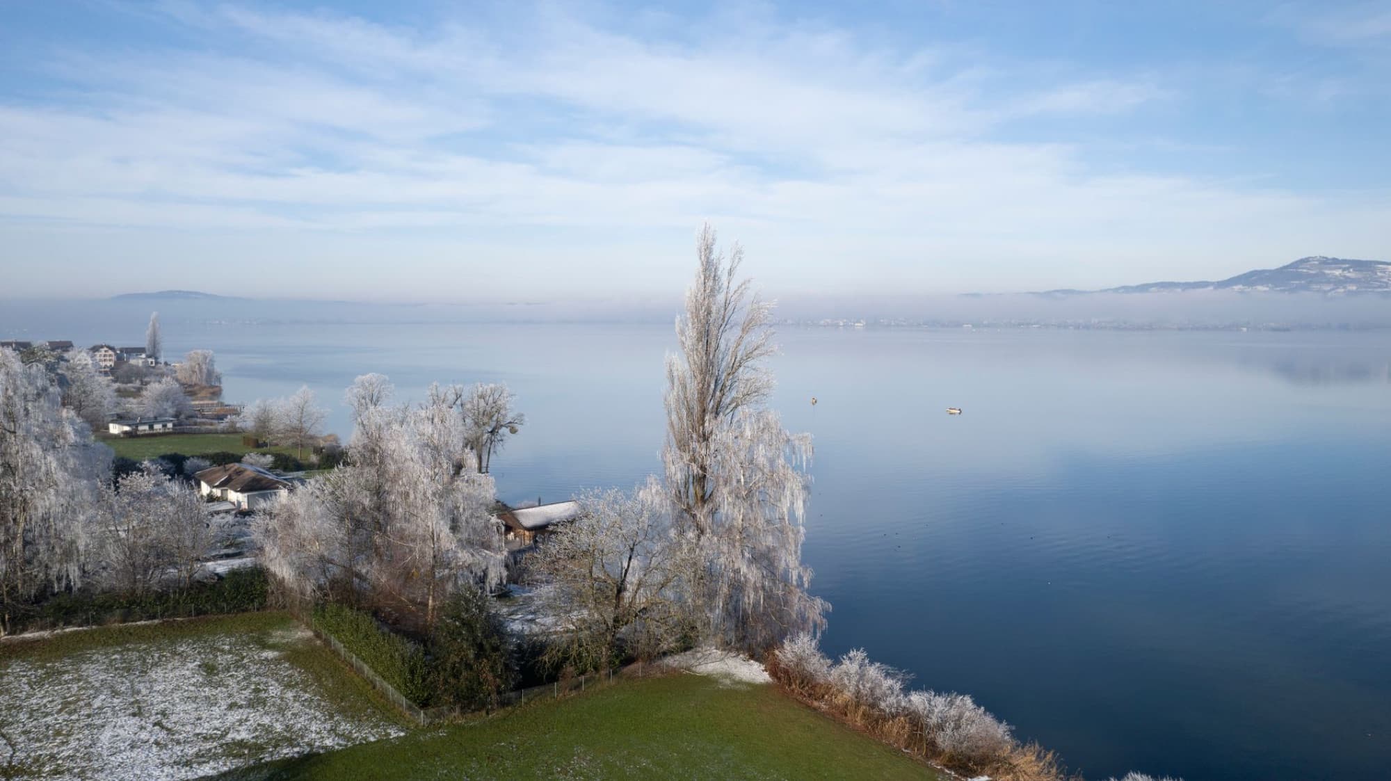 A tranquil winter landscape of Lake Zurich in Altendorf, Switzerland, showcasing frosty trees and a serene lake view.