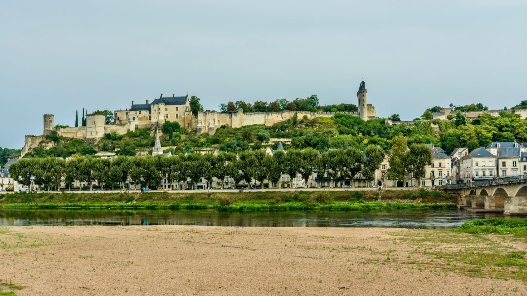 View of Chinon Castle and town by the river in France, showcasing historical architecture and lush greenery.