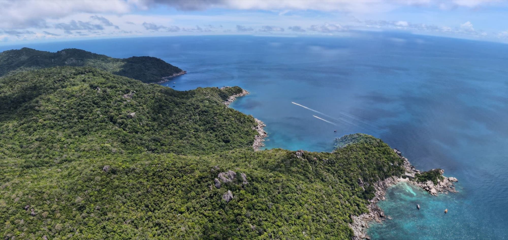 Stunning aerial view of a lush, green tropical coastline by the deep blue sea.