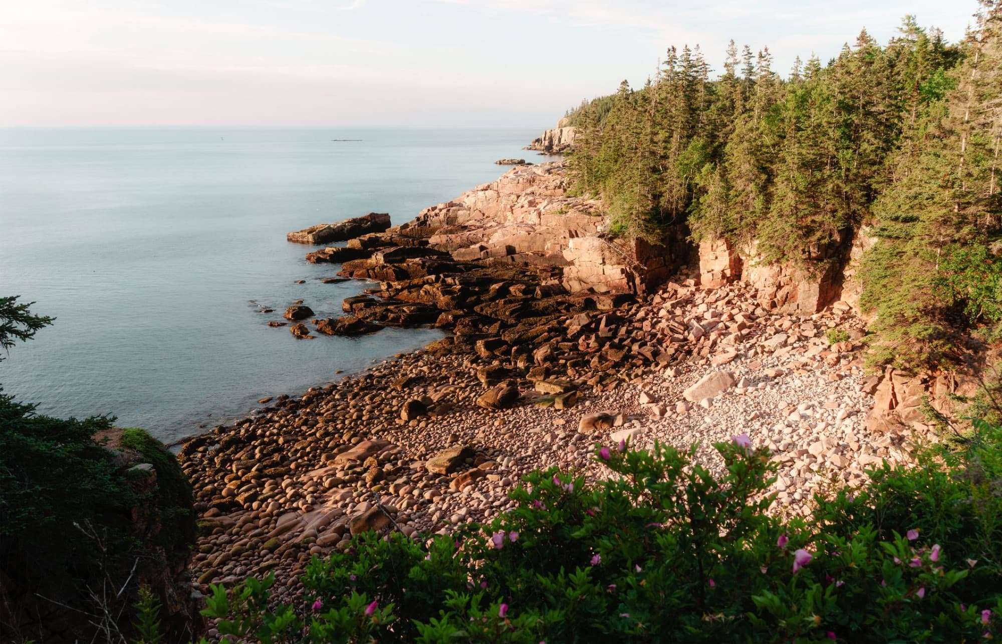Breathtaking cliffs and forest along the rocky coast of Acadia National Park, Maine.