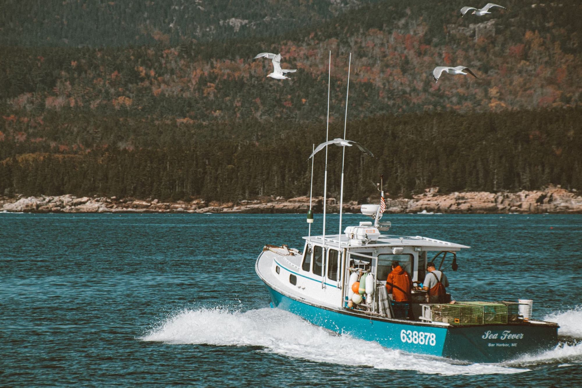 A fishing boat travels along the scenic coastline of Maine with seagulls flying overhead.