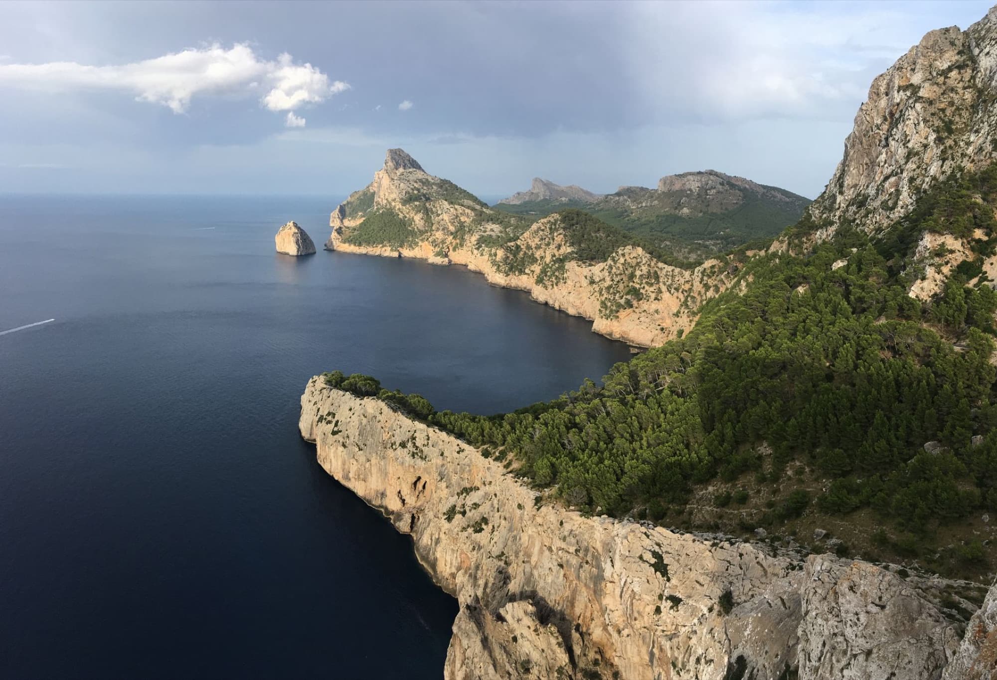 A breathtaking aerial view of Mallorca's rugged coastline with lush greenery and clear blue sea.