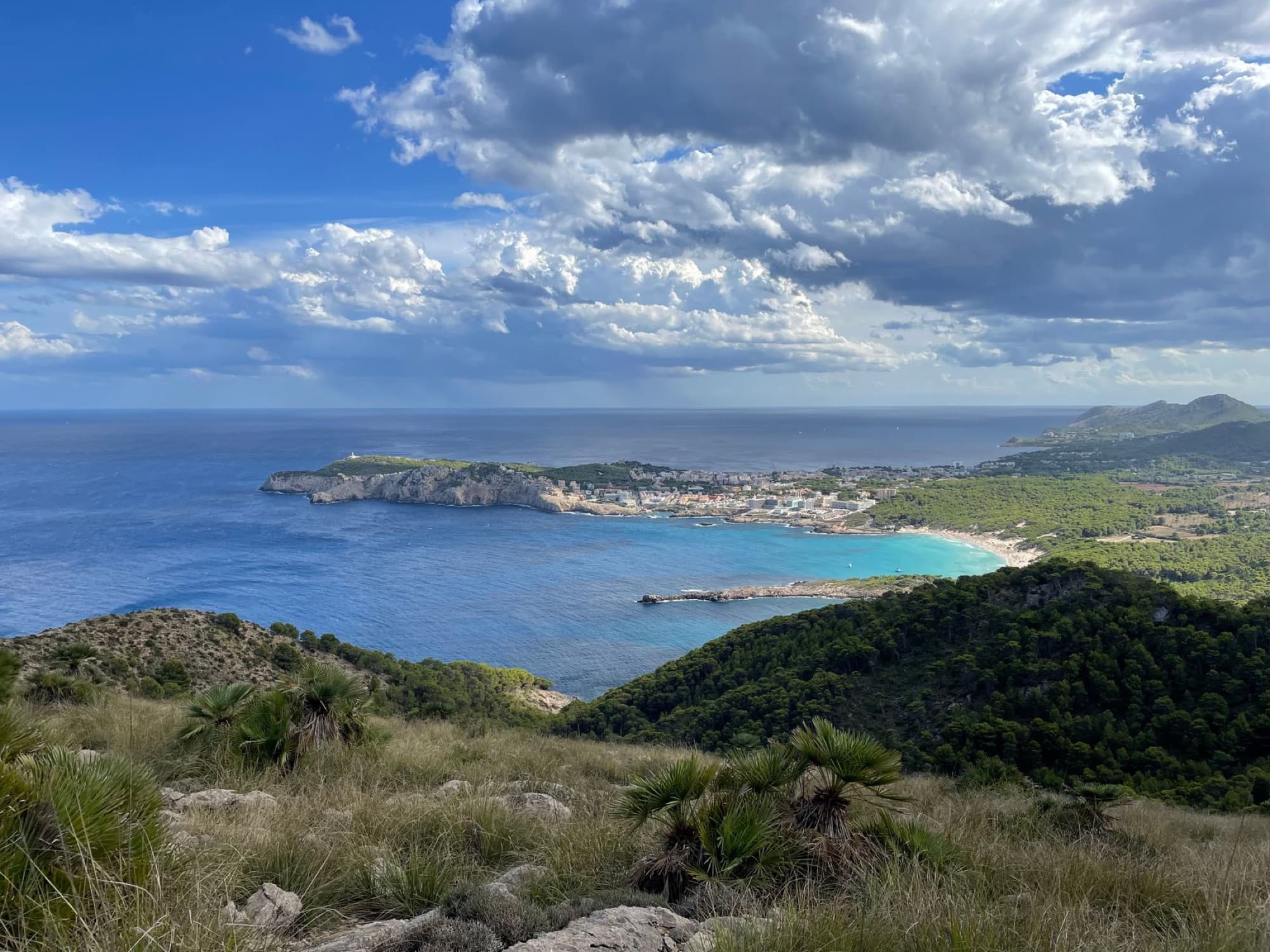Breathtaking aerial view of Mallorca's coastline with lush greenery and clear blue waters.