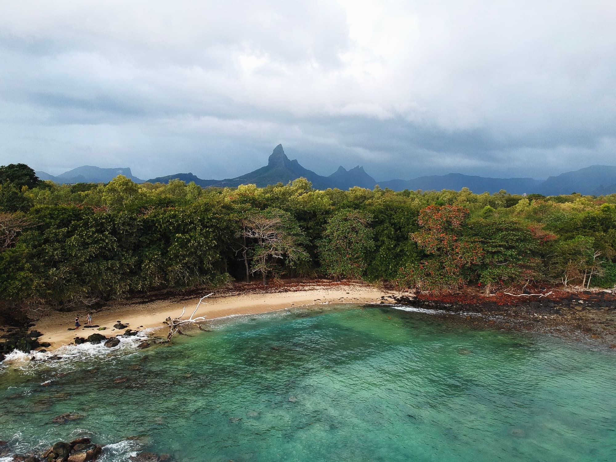 Stunning aerial view of a beach in Rivière Noire District, Mauritius, against a backdrop of lush trees and mountains.