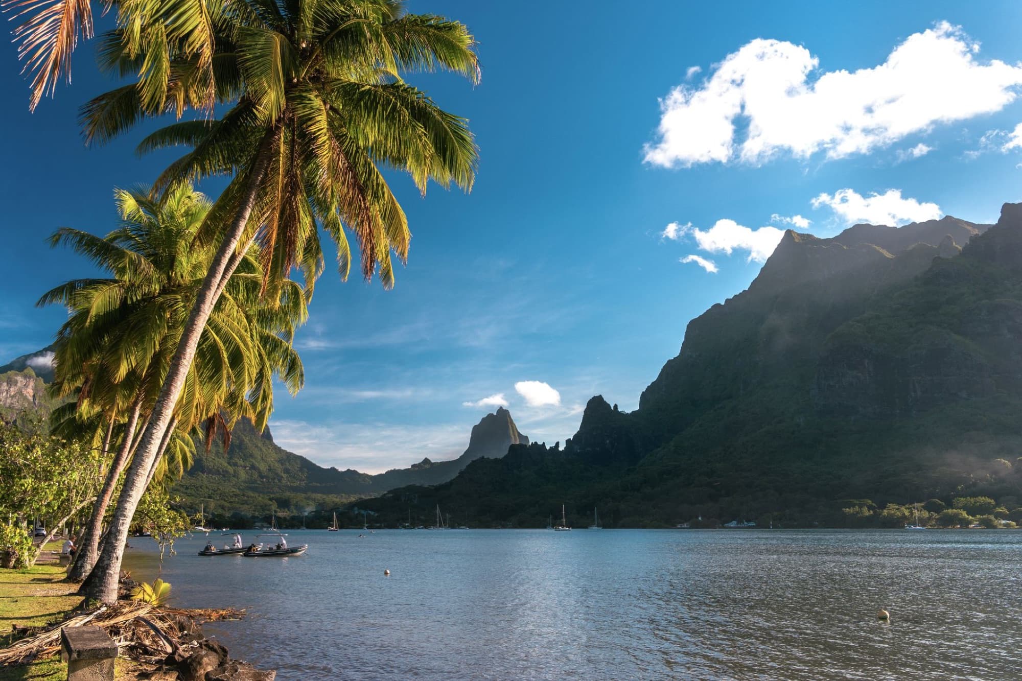 Breathtaking view of Moorea's lagoon with palm trees and mountain backdrop in French Polynesia.