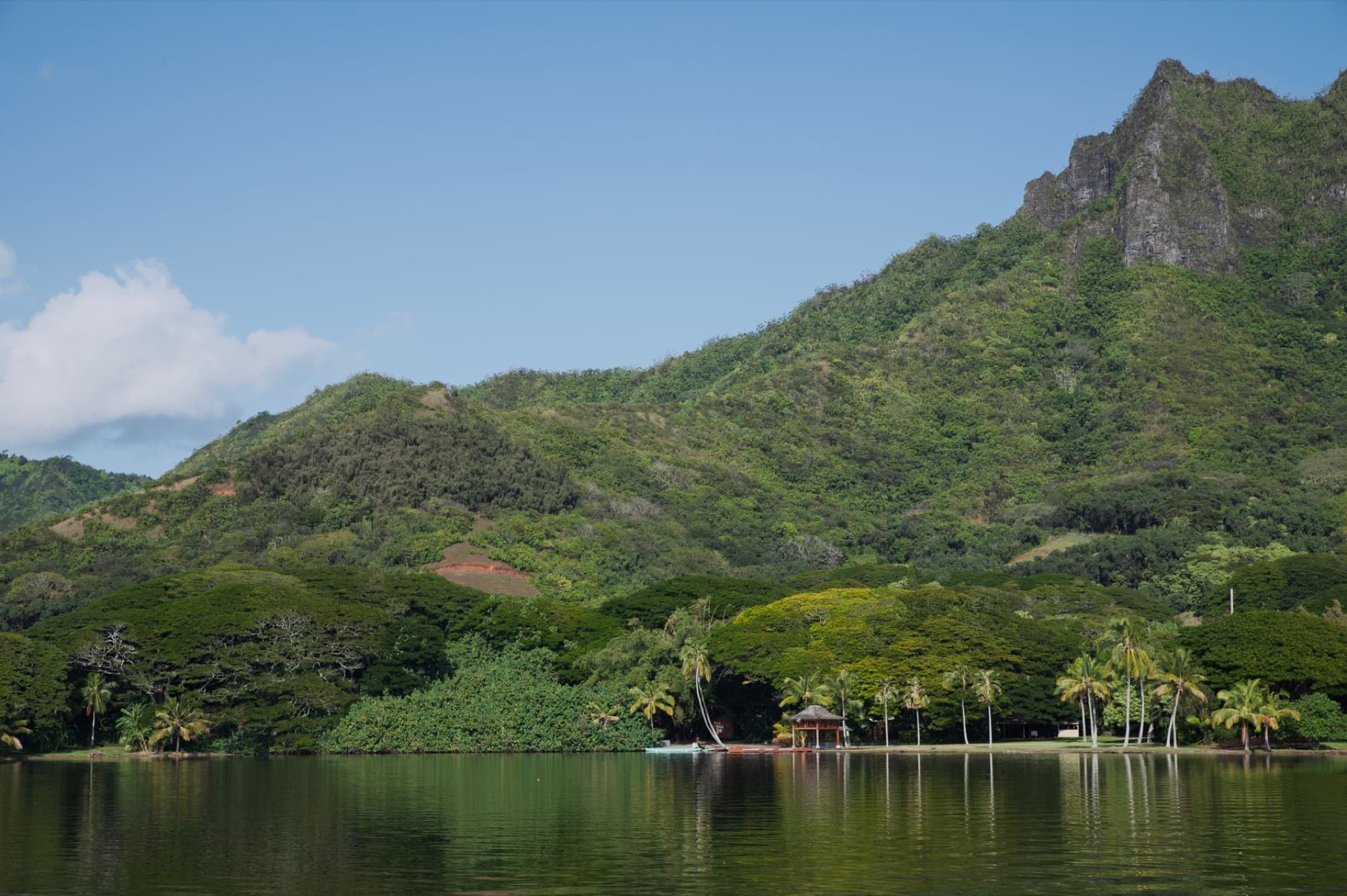 Lush tropical landscape with mountains and calm waters under a clear blue sky.