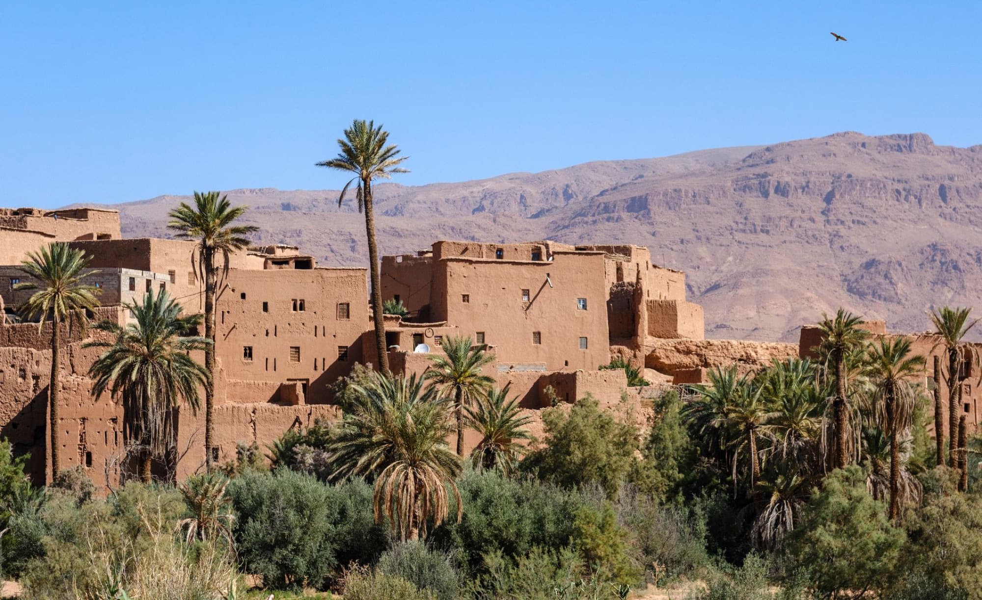 Picturesque view of a traditional Berber village with palm trees in the Atlas Mountains, Morocco.