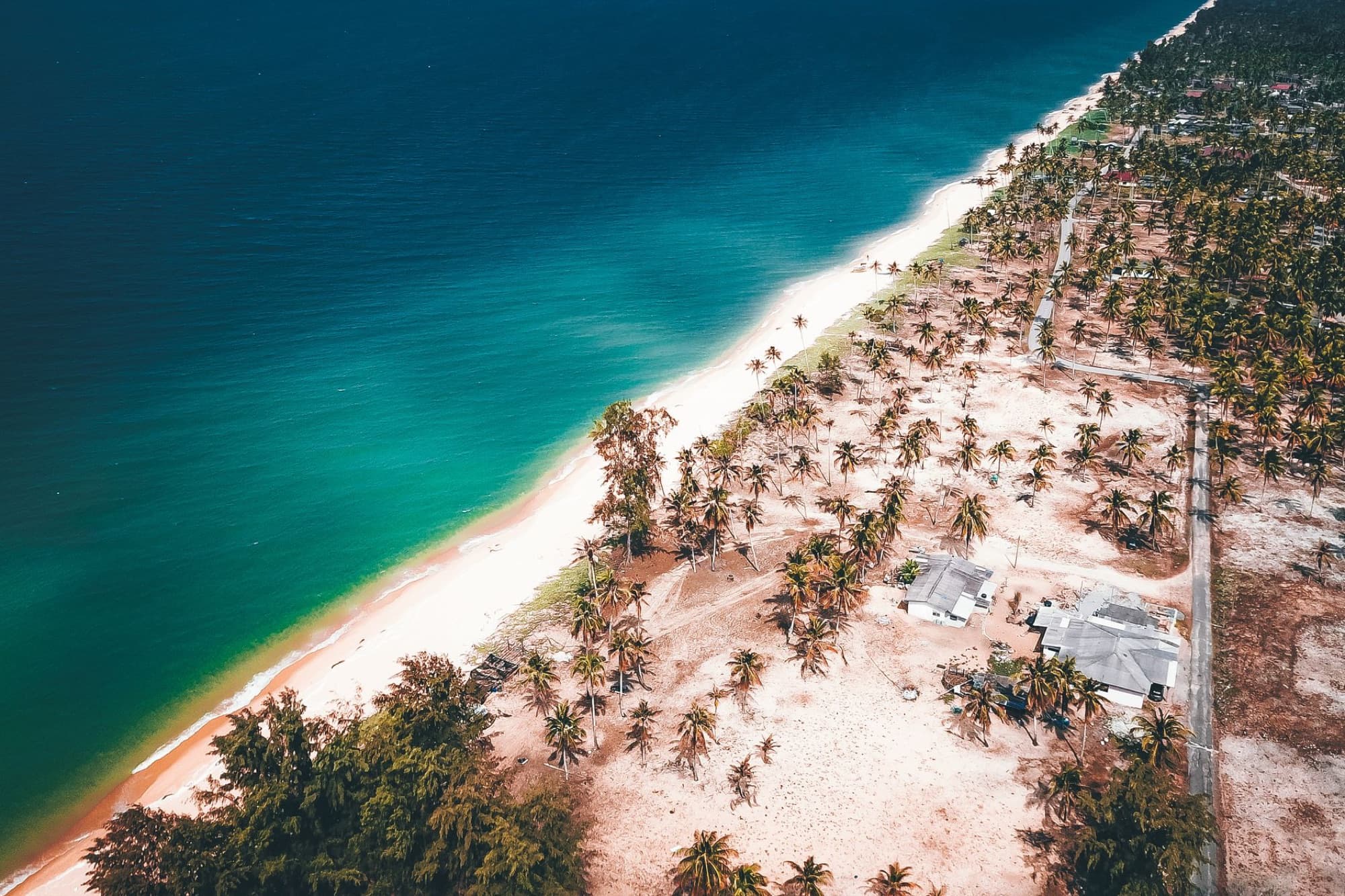 A breathtaking aerial shot of a tropical beach with turquoise waters and lush palm trees lining the coast.