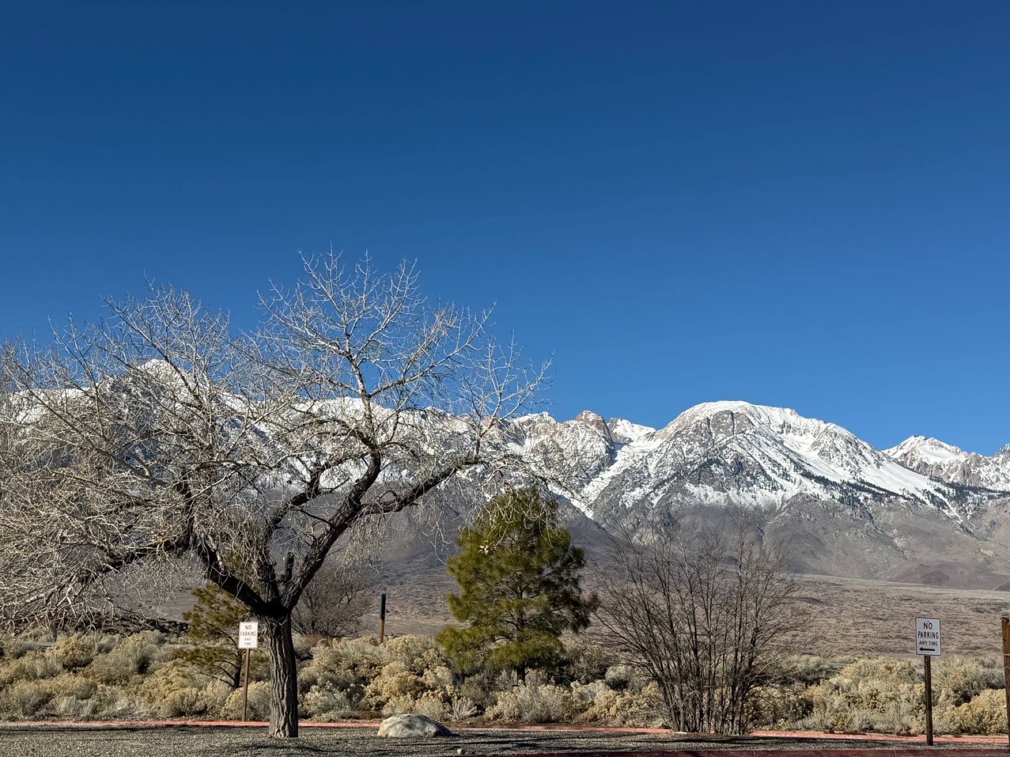 Beautiful landscape with snow-capped Sierra Nevada mountains, blue sky, and barren trees in California.