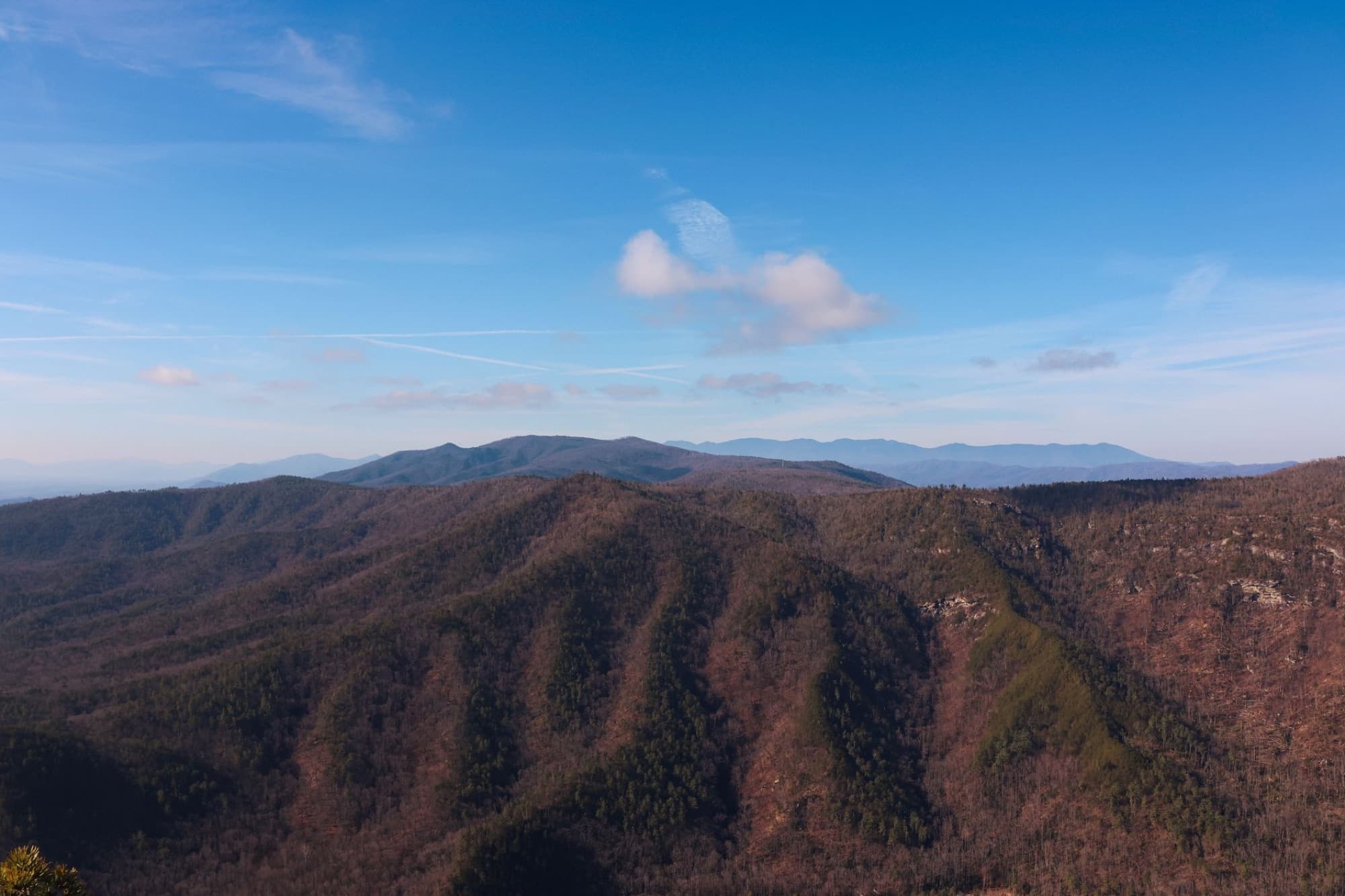 Stunning view of Linville Gorge in North Carolina's Blue Ridge Mountains under a clear blue sky.