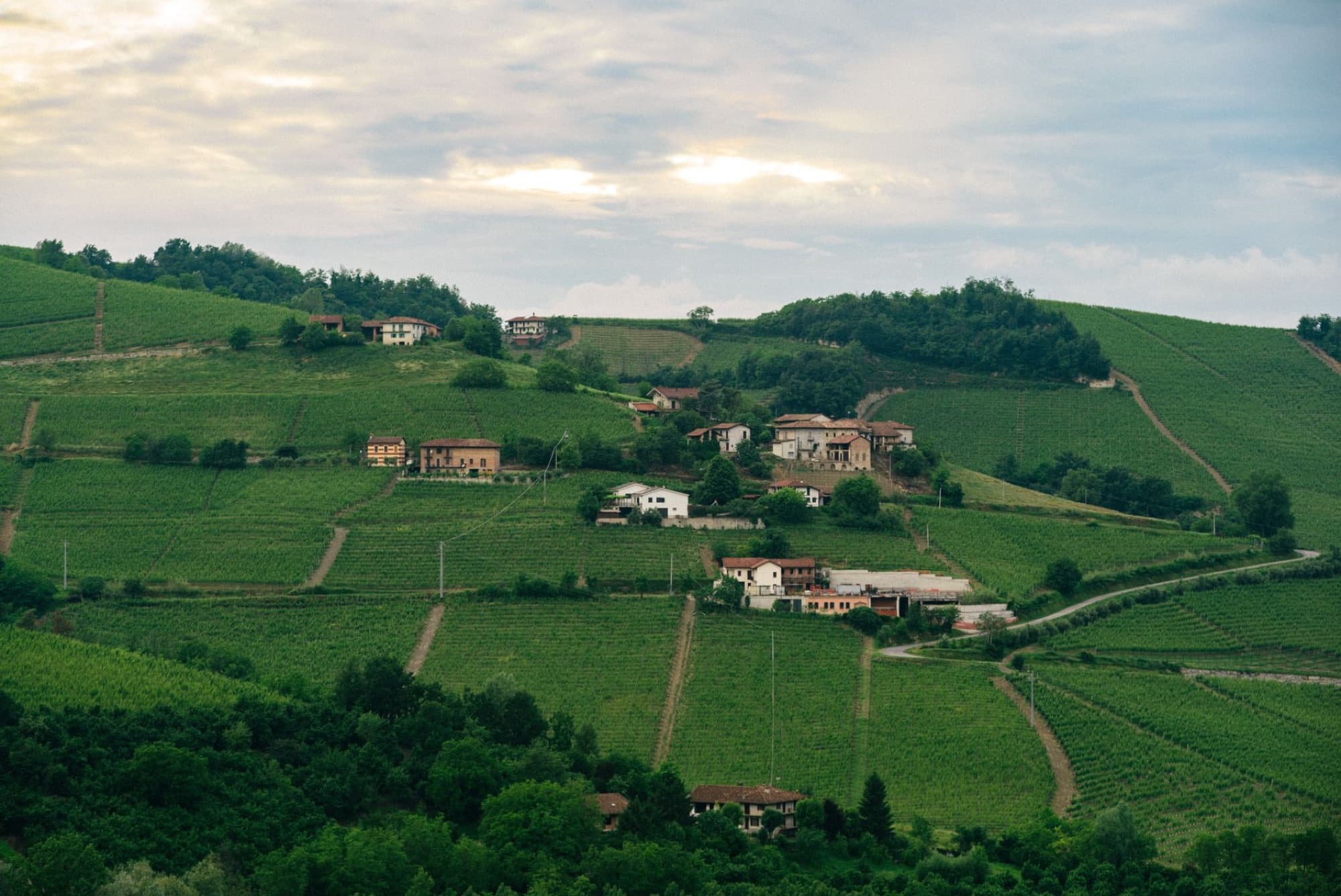 Scenic aerial landscape of lush vineyards and rustic houses in Piedmont, Italy at sunset.