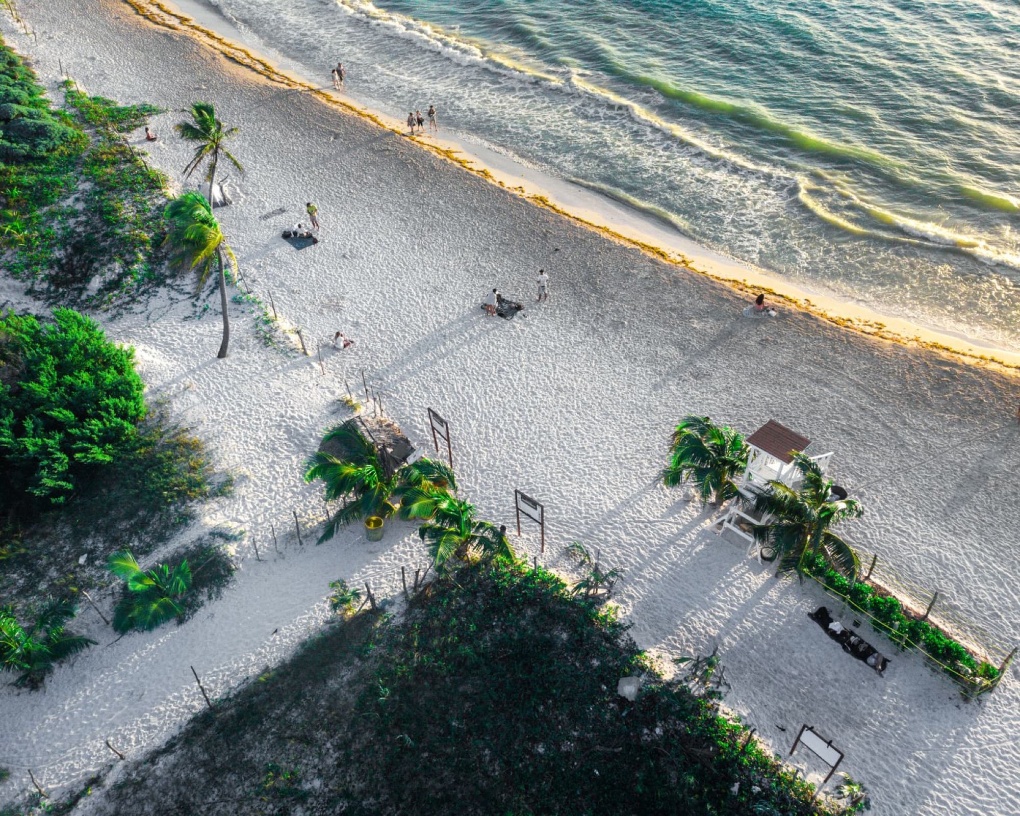 Relaxing aerial view of Playa del Carmen beach with lush greenery and gentle waves.