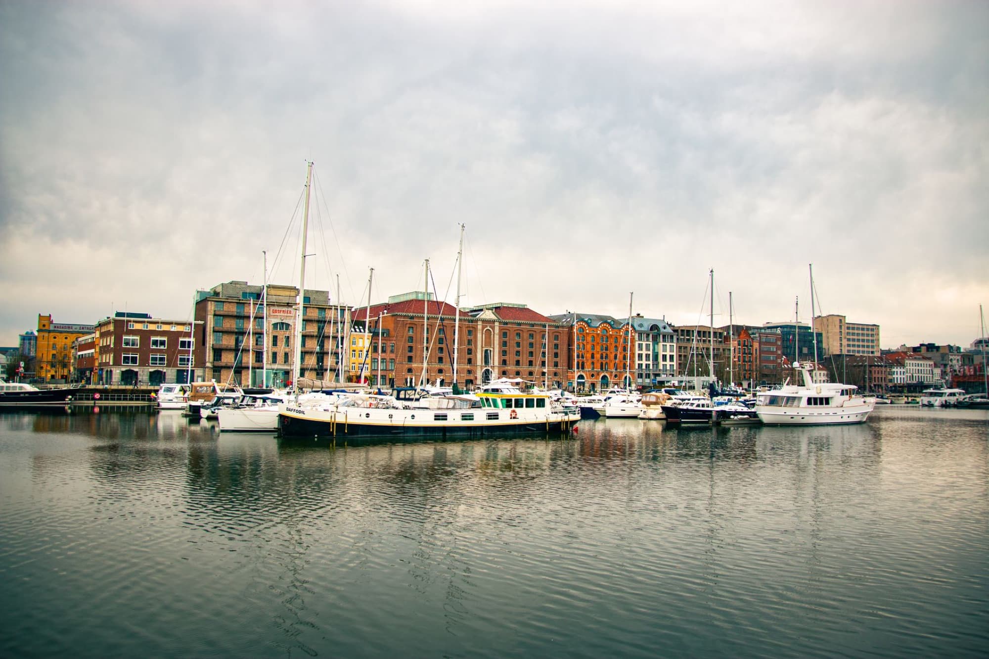Scenic view of a harbor with boats moored in front of a colorful urban skyline.