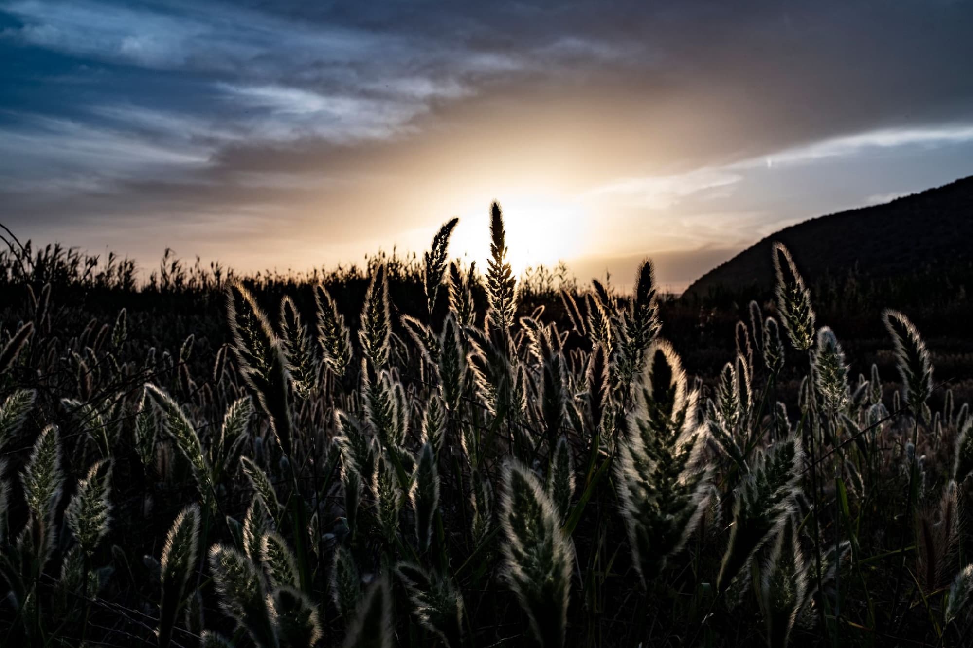 A tranquil sunset with dramatic skies casting light over lush grass fields in Porto Cheli, Greece.